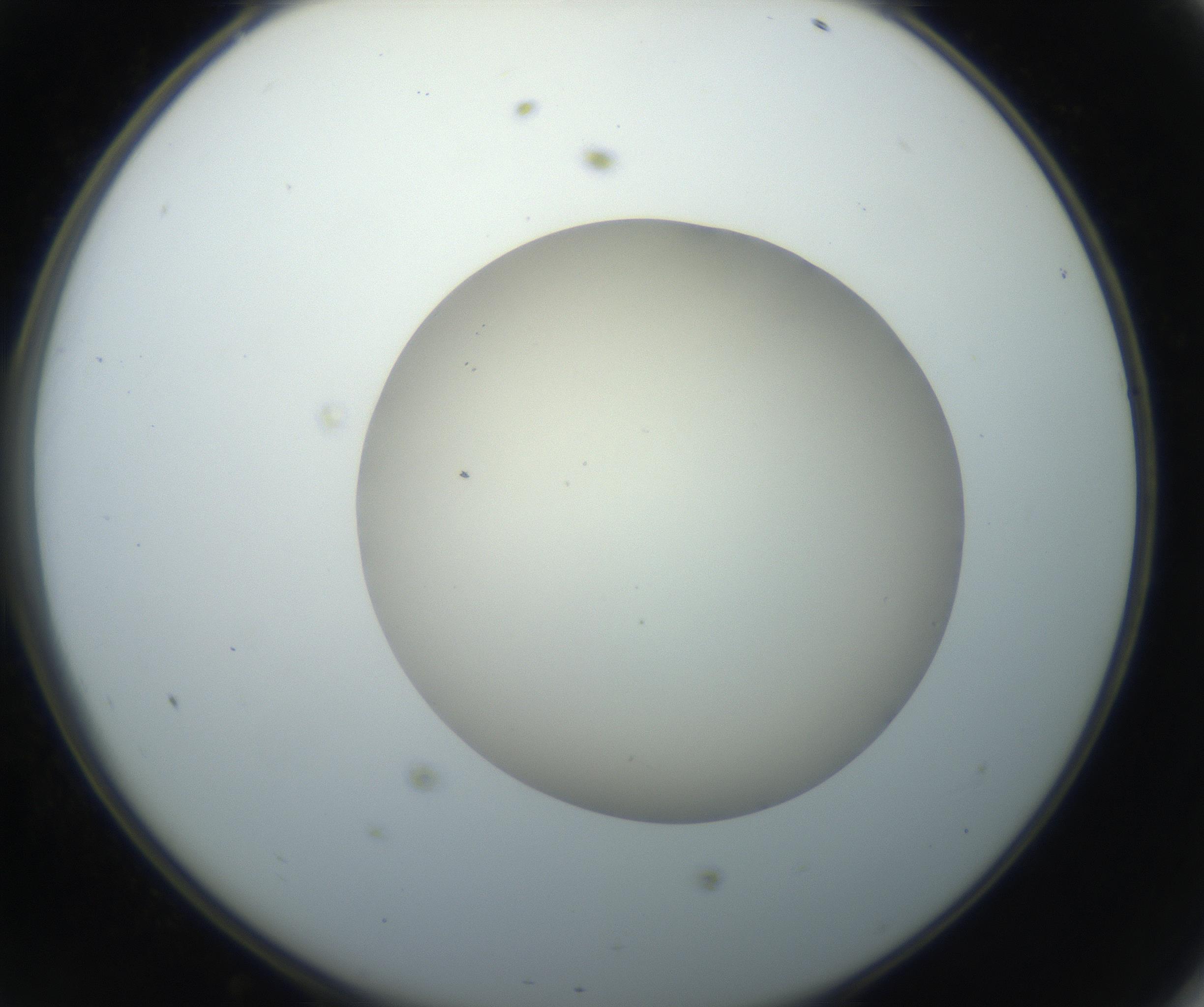 RI01_03_000_0212_Proj1_Clon1_MC_0000MC102735_003_160921_11_04_02_00_99_002_001_RAI.jpg