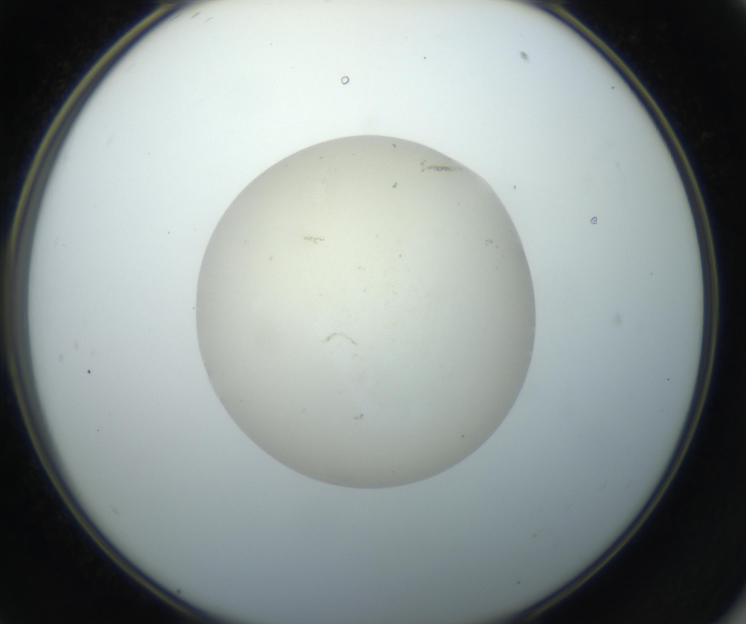 RI01_03_000_0212_Proj1_Clon1_MC_0000MC102735_003_160921_11_05_02_00_99_002_001_RAI.jpg