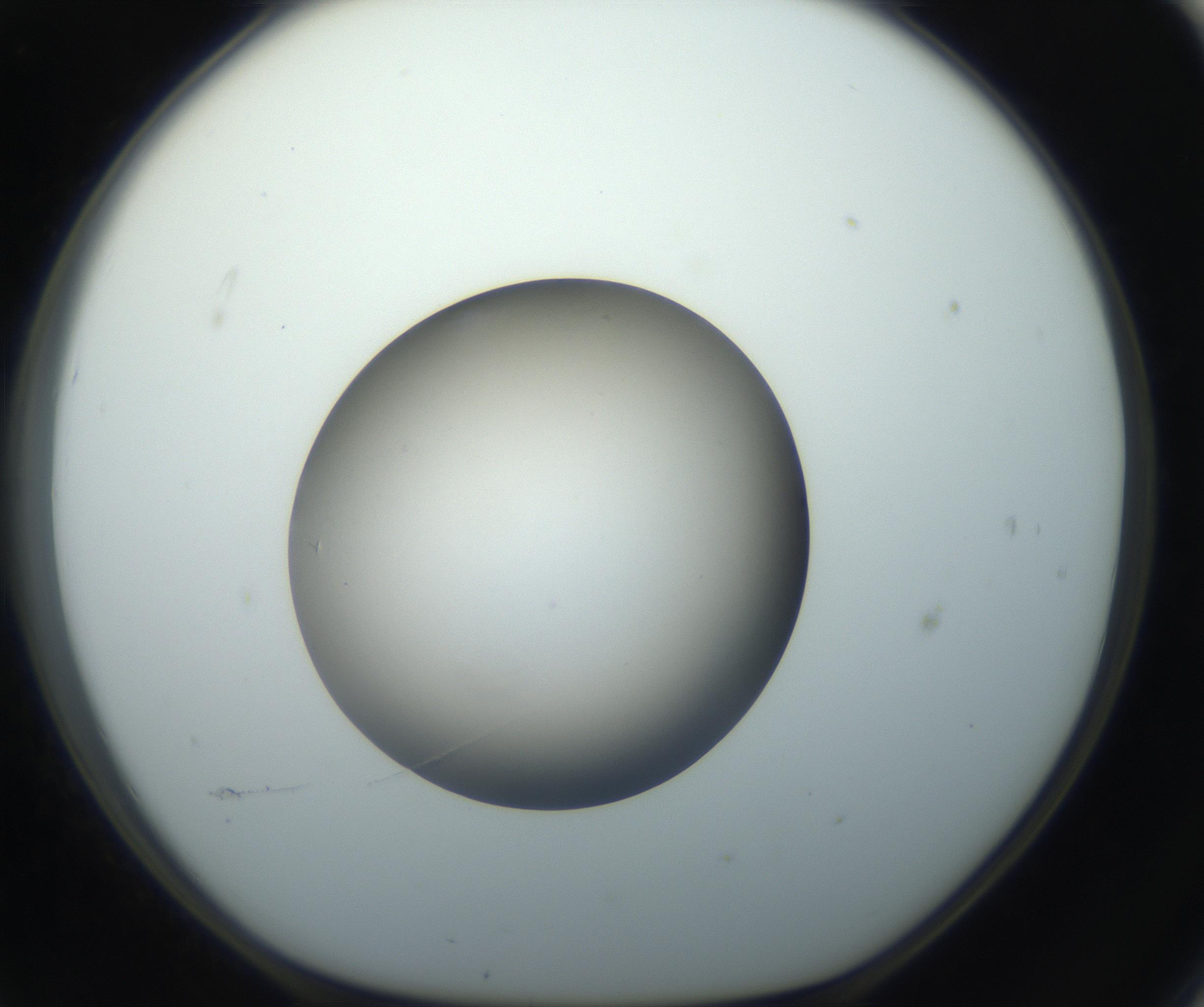 RI01_03_000_0212_Proj1_Clon1_MC_0000MC102735_003_160921_11_06_01_00_99_002_001_RAI.jpg