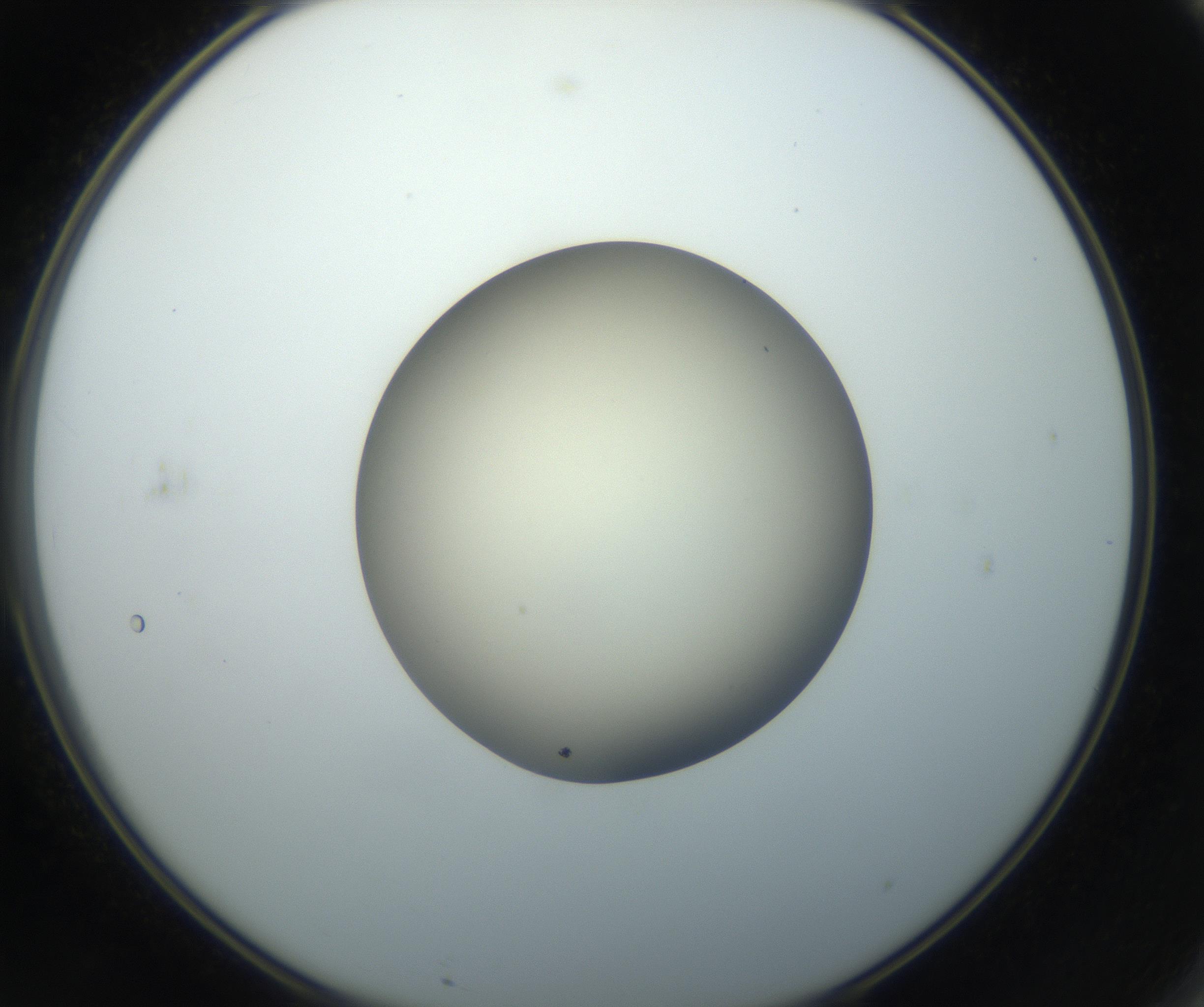 RI01_03_000_0212_Proj1_Clon1_MC_0000MC102735_003_160921_11_06_02_00_99_002_001_RAI.jpg