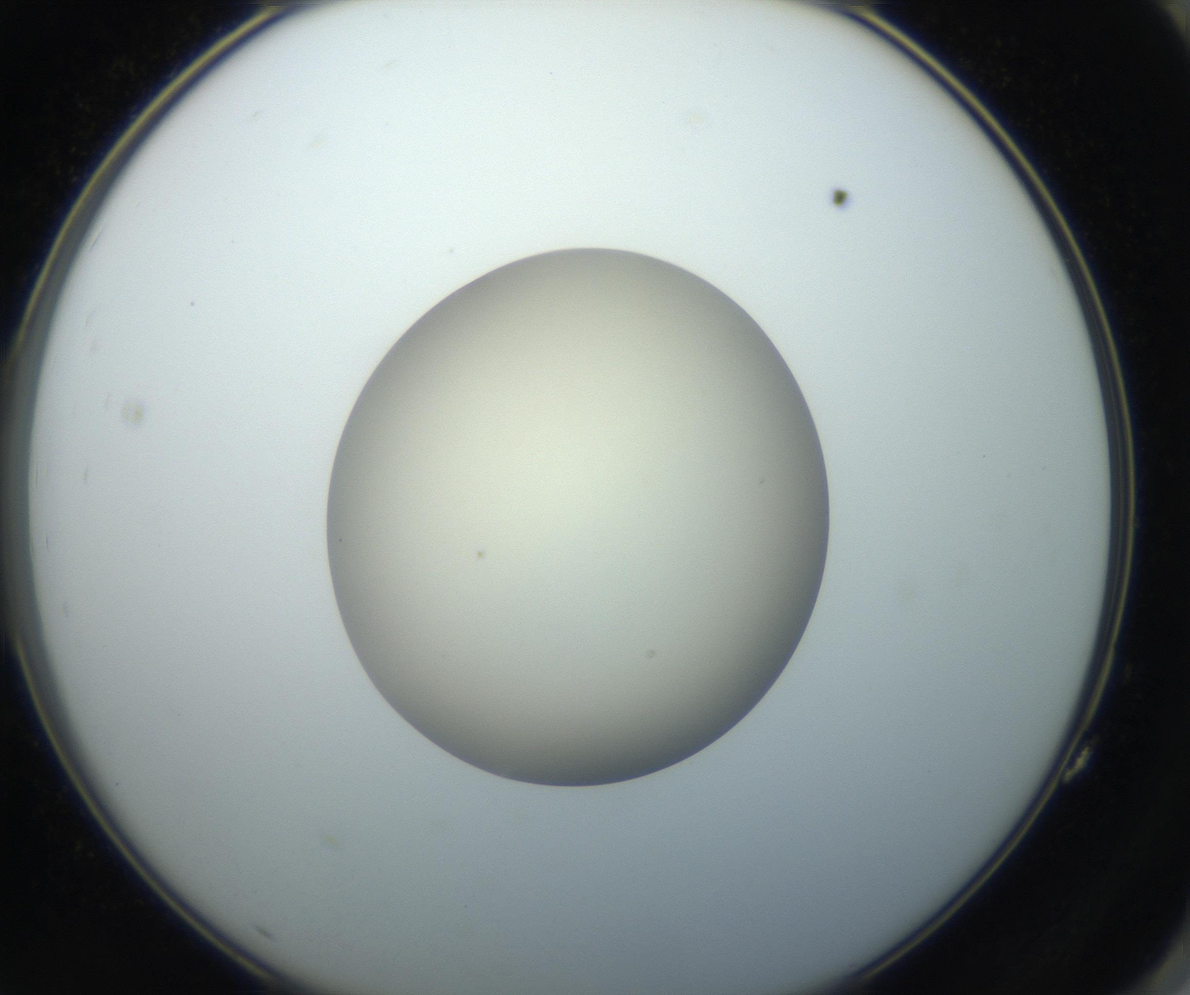 RI01_03_000_0212_Proj1_Clon1_MC_0000MC102735_003_160921_11_07_02_00_99_002_001_RAI.jpg