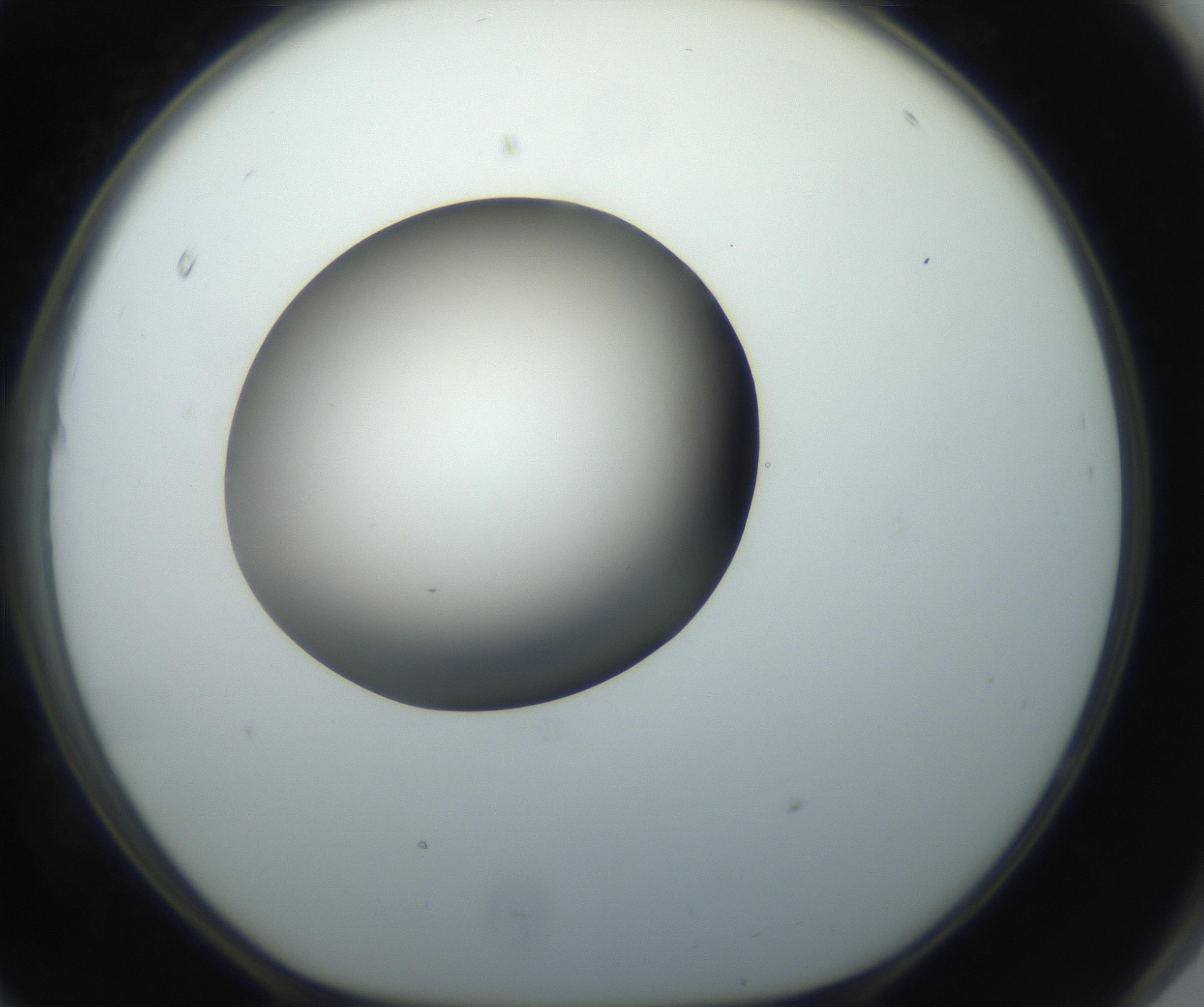 RI01_03_000_0212_Proj1_Clon1_MC_0000MC102735_003_160921_11_08_01_00_99_002_001_RAI.jpg