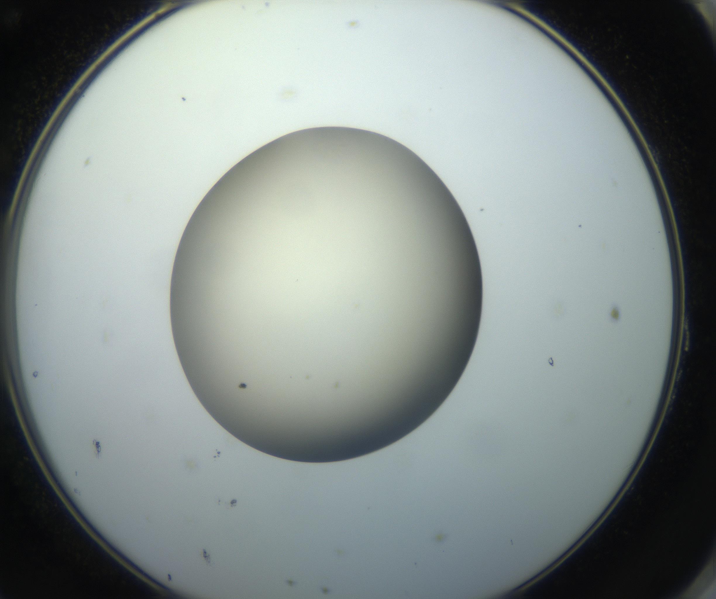 RI01_03_000_0212_Proj1_Clon1_MC_0000MC102735_003_160921_11_08_02_00_99_002_001_RAI.jpg