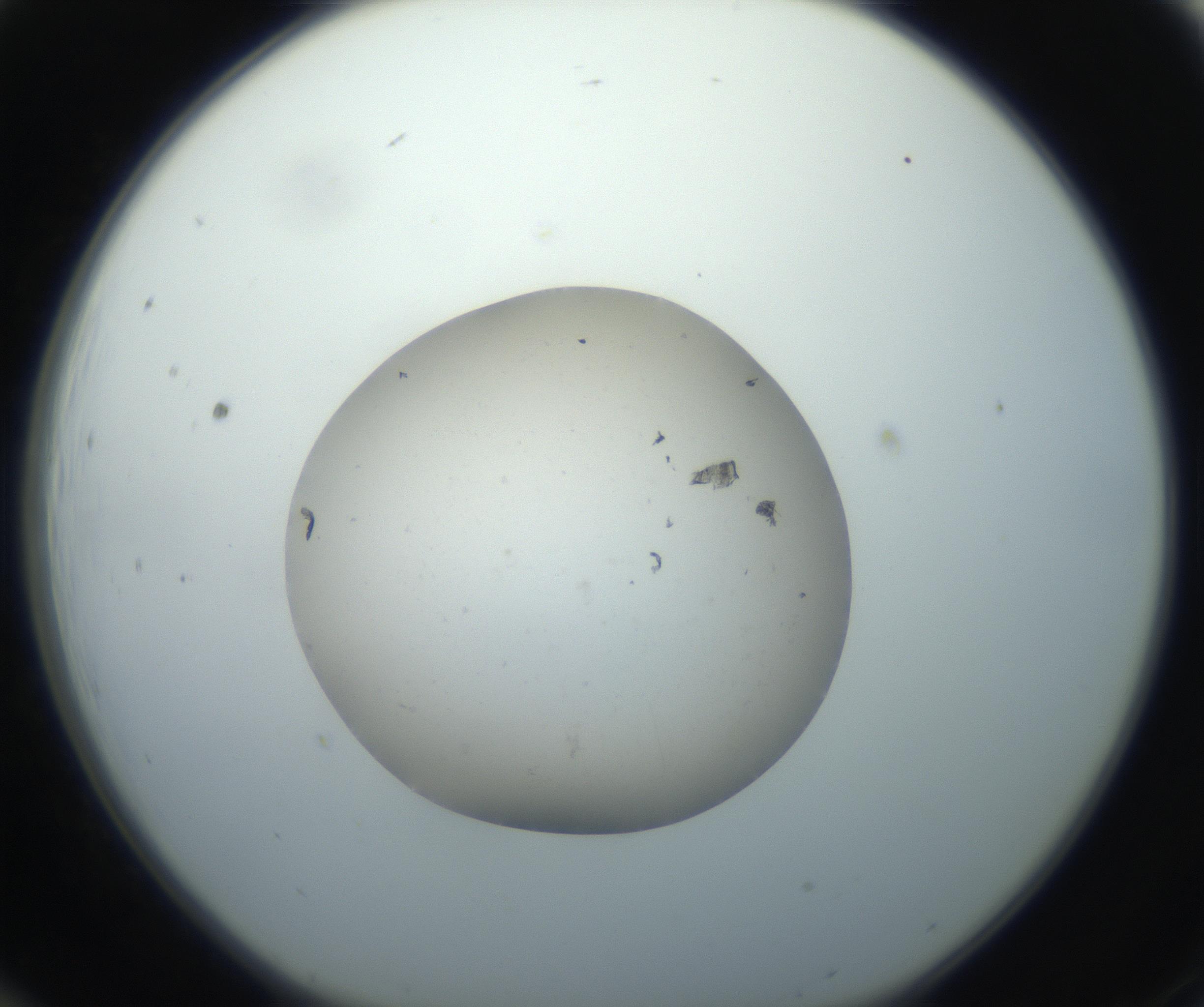 RI01_03_000_0212_Proj1_Clon1_MC_0000MC102735_003_160921_12_01_01_00_99_002_001_RAI.jpg