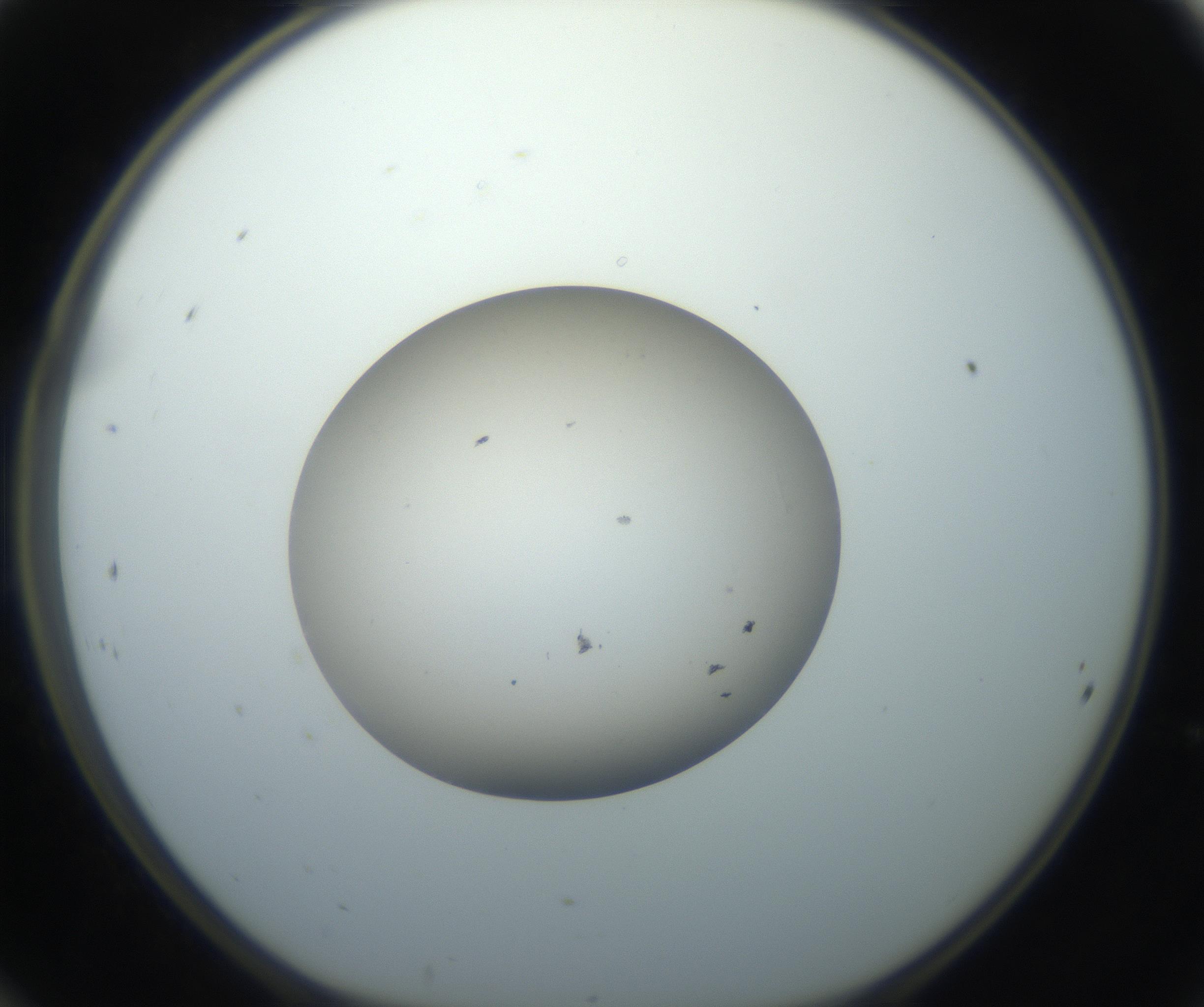 RI01_03_000_0212_Proj1_Clon1_MC_0000MC102735_003_160921_12_02_01_00_99_002_001_RAI.jpg