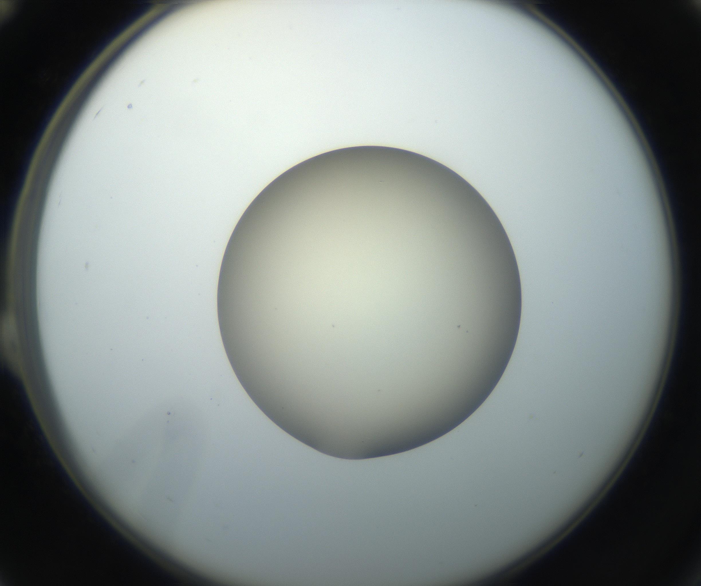 RI01_03_000_0212_Proj1_Clon1_MC_0000MC102735_003_160921_12_02_02_00_99_002_001_RAI.jpg