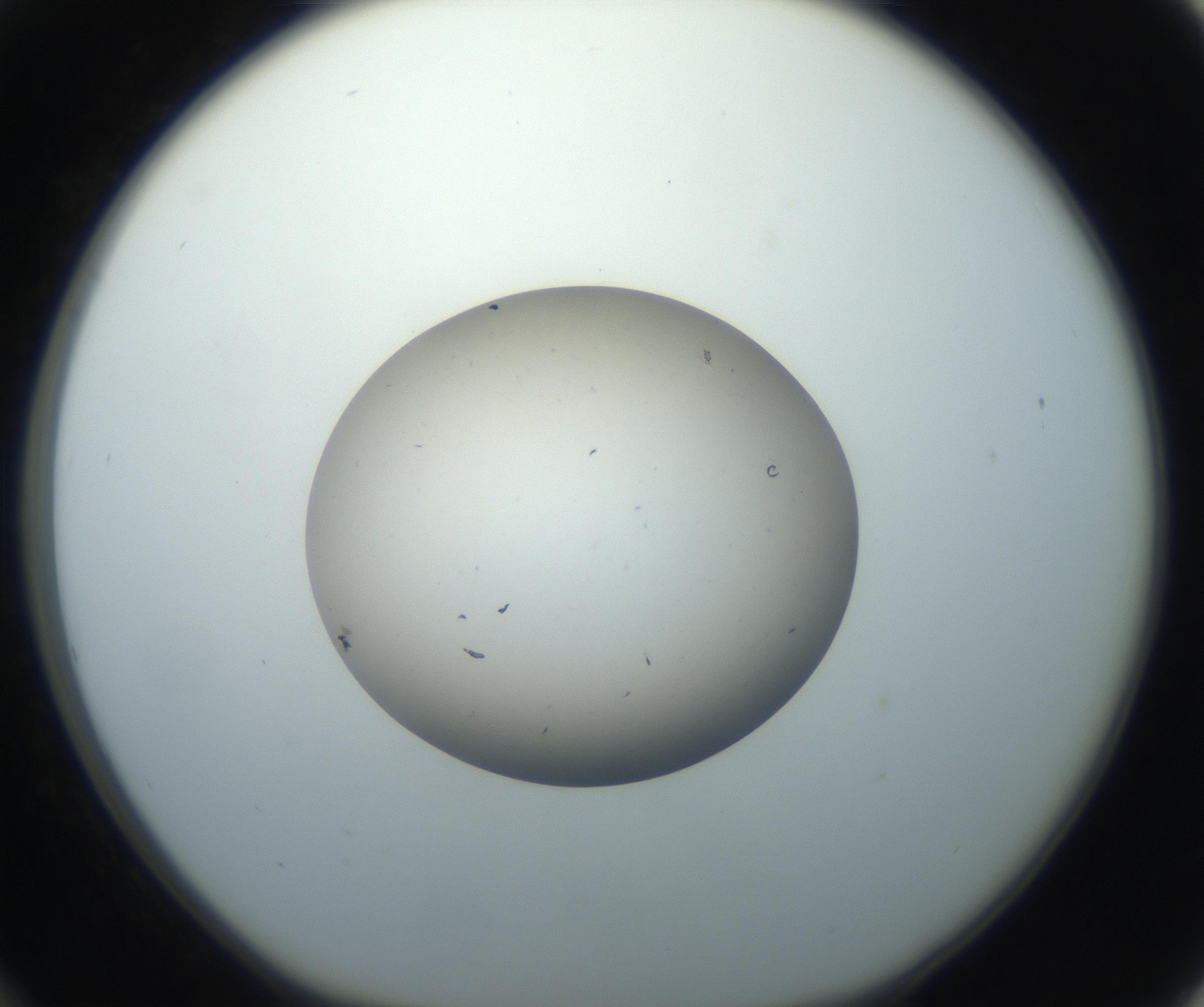 RI01_03_000_0212_Proj1_Clon1_MC_0000MC102735_003_160921_12_03_01_00_99_002_001_RAI.jpg