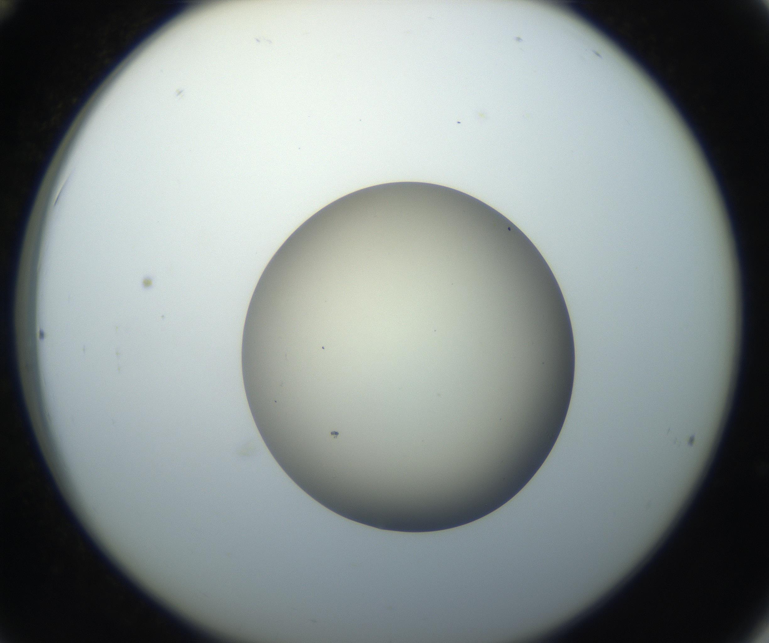 RI01_03_000_0212_Proj1_Clon1_MC_0000MC102735_003_160921_12_03_02_00_99_002_001_RAI.jpg
