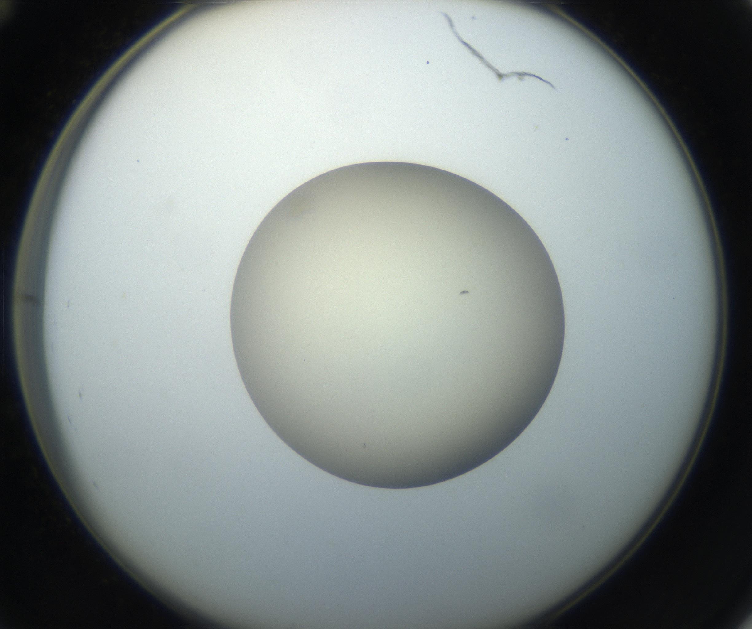 RI01_03_000_0212_Proj1_Clon1_MC_0000MC102735_003_160921_12_04_02_00_99_002_001_RAI.jpg