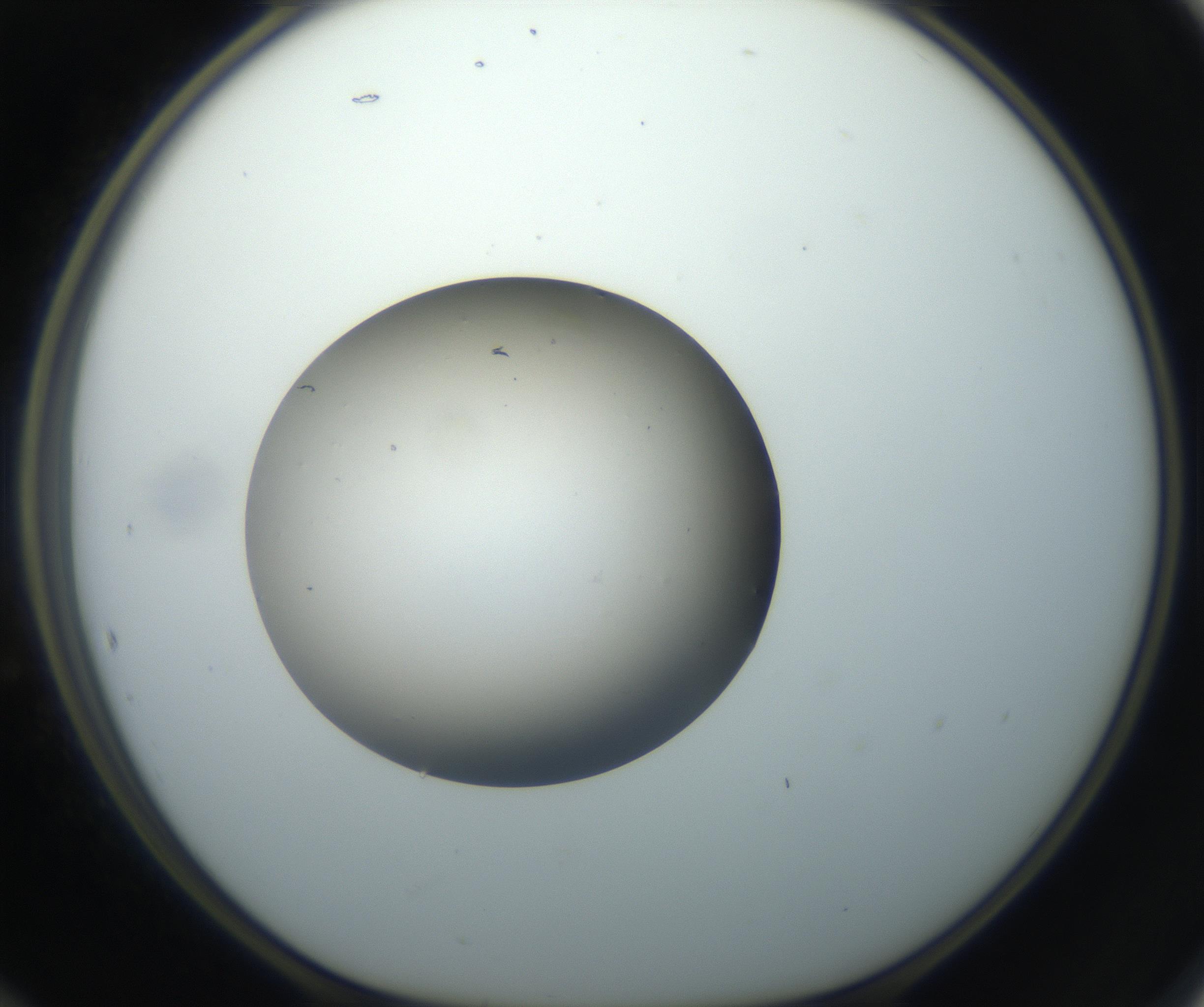 RI01_03_000_0212_Proj1_Clon1_MC_0000MC102735_003_160921_12_05_01_00_99_002_001_RAI.jpg