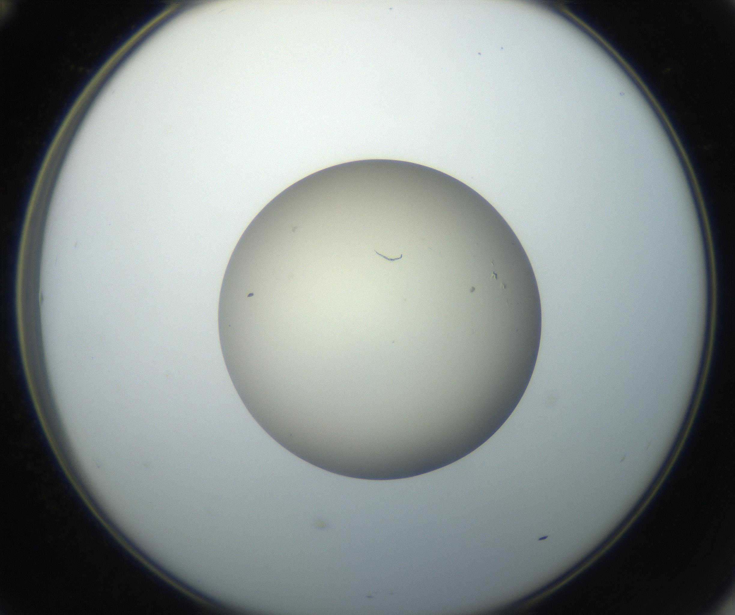 RI01_03_000_0212_Proj1_Clon1_MC_0000MC102735_003_160921_12_05_02_00_99_002_001_RAI.jpg
