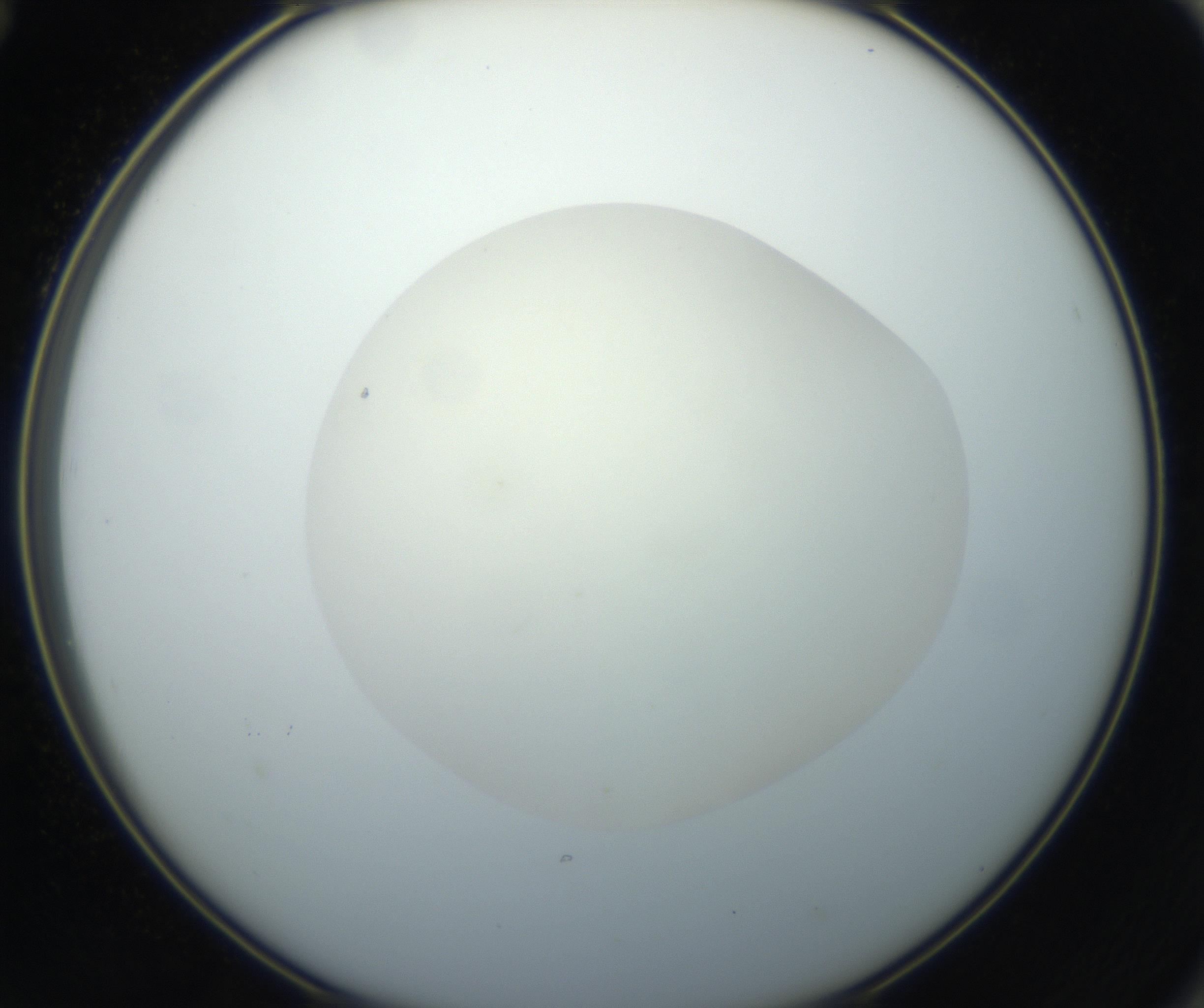 RI01_03_000_0212_Proj1_Clon1_MC_0000MC102735_003_160921_12_06_02_00_99_002_001_RAI.jpg