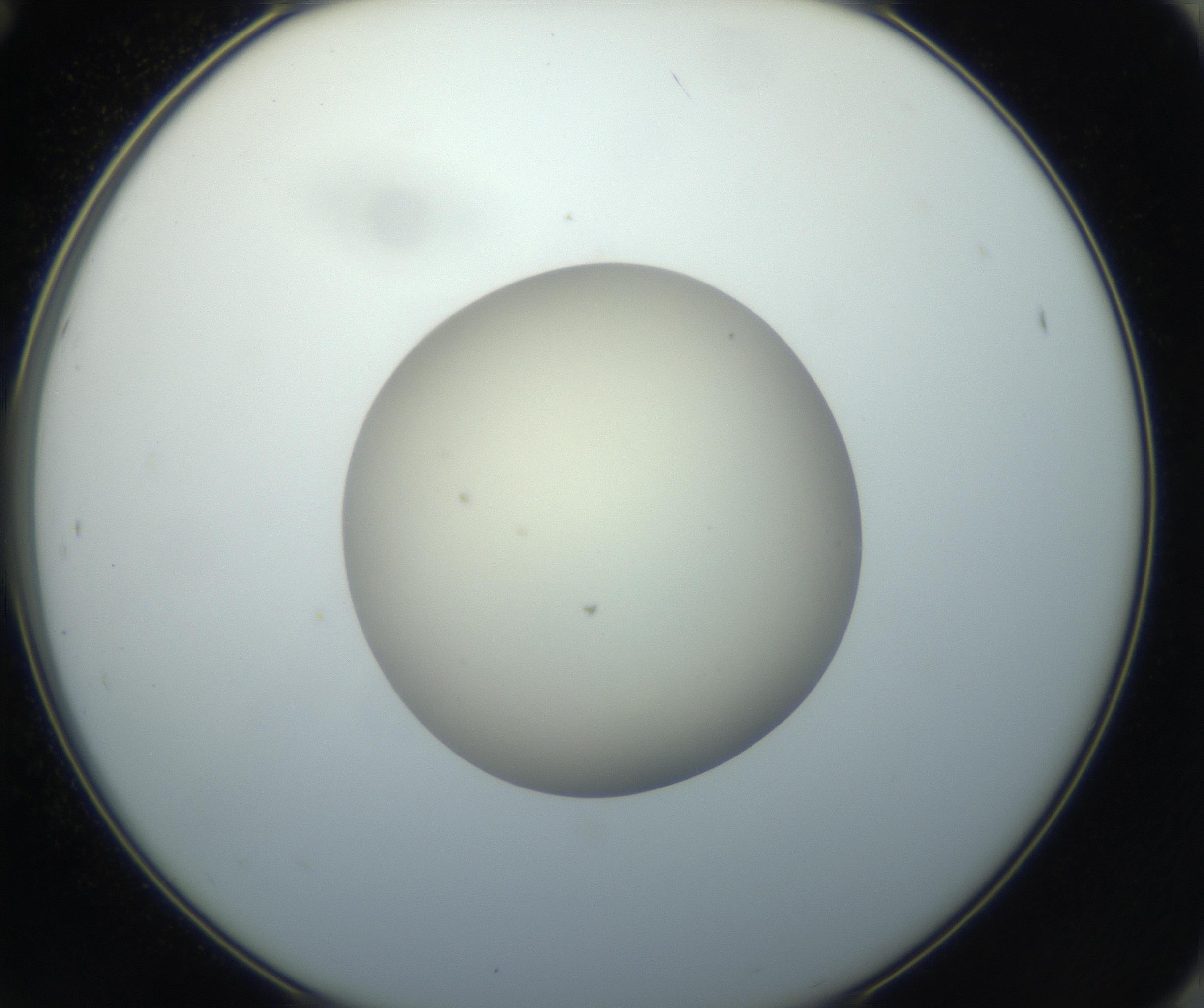 RI01_03_000_0212_Proj1_Clon1_MC_0000MC102735_003_160921_12_07_02_00_99_002_001_RAI.jpg