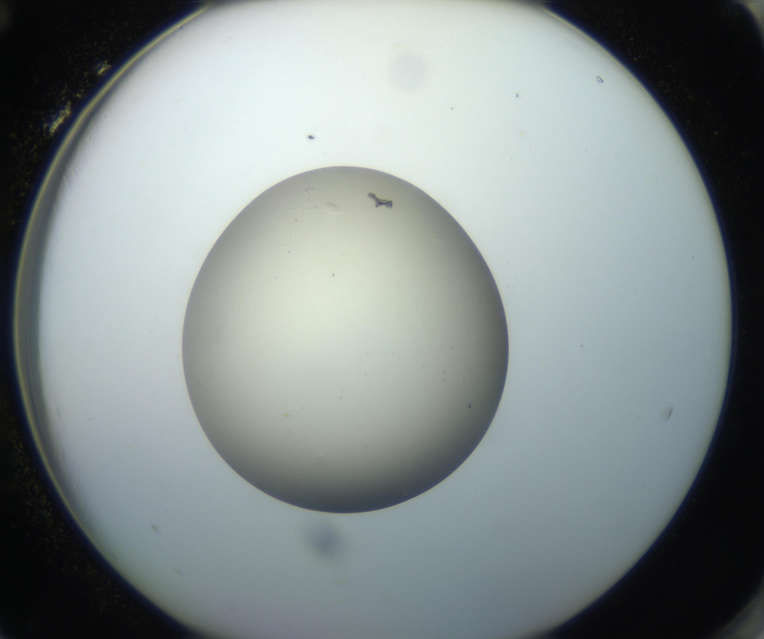 RI01_03_000_0212_Proj1_Clon1_MC_0000MC102735_003_160921_12_08_02_00_99_002_001_RAI.jpg