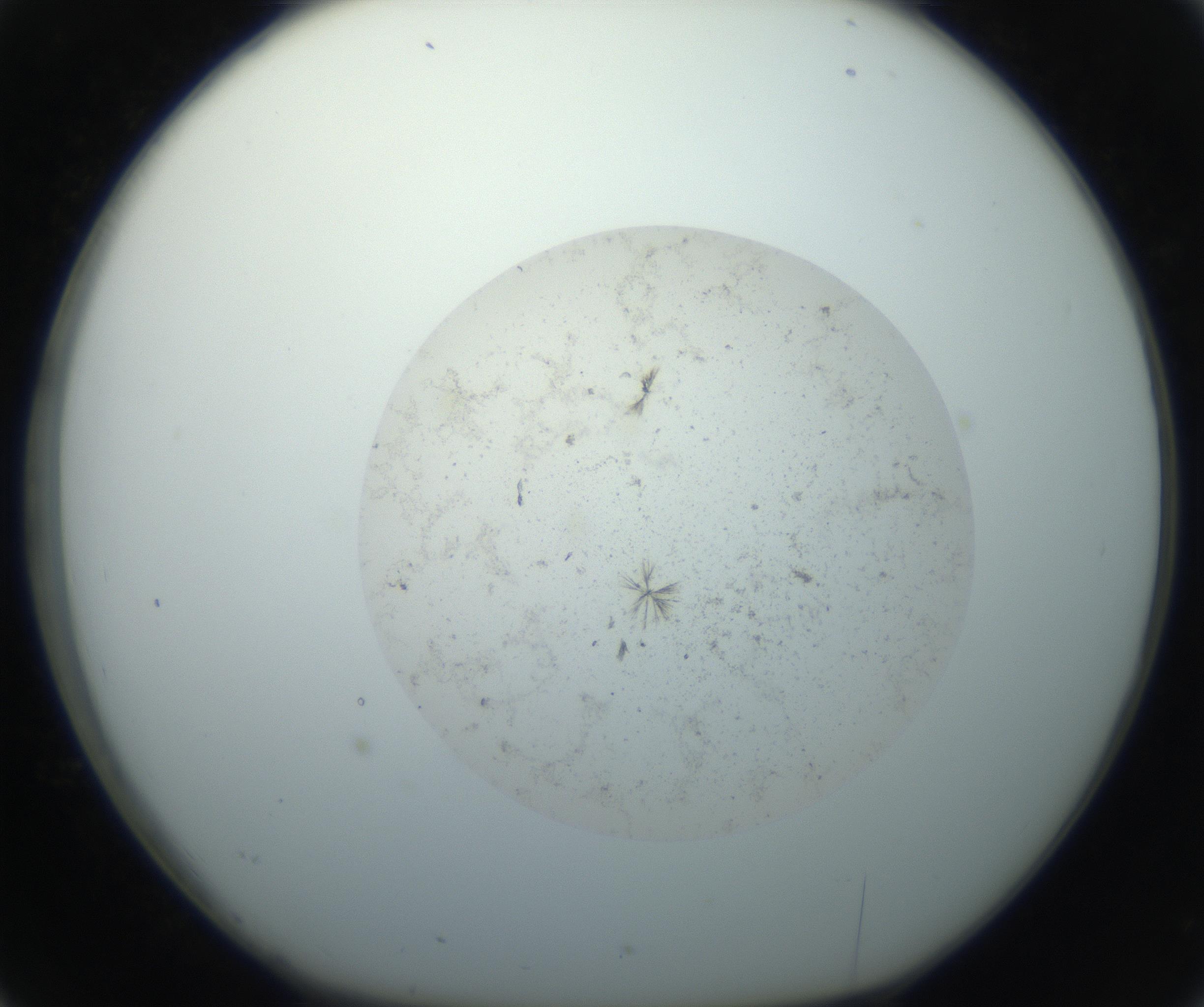 RI01_03_000_0212_Proj1_Clon1_MC_0000MC102735_006_160926_02_03_01_00_99_002_001_RAI.jpg