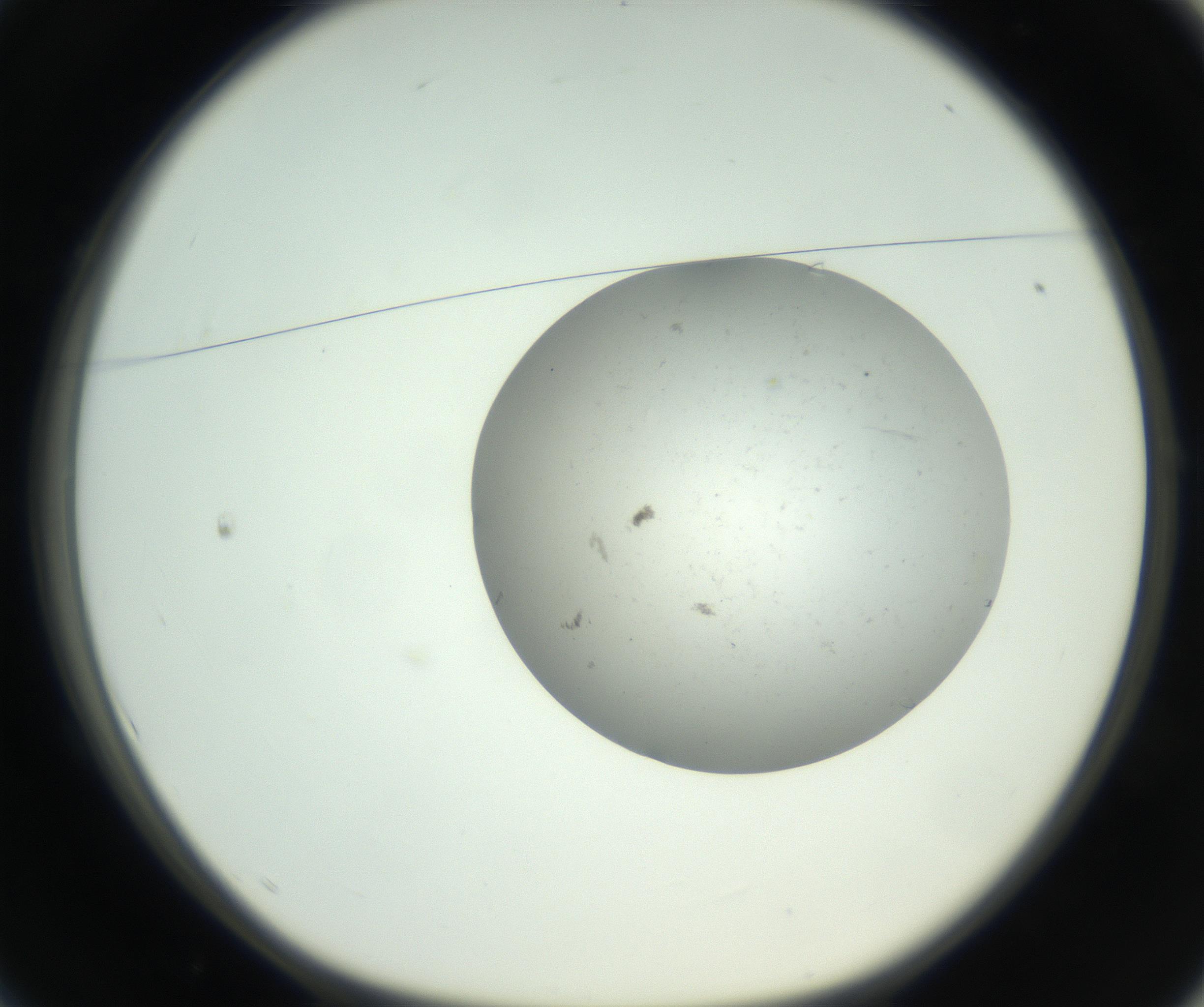 RI01_03_000_0212_Proj1_Clon1_MC_0000MC102736_004_160921_01_01_01_00_99_002_001_RAI.jpg