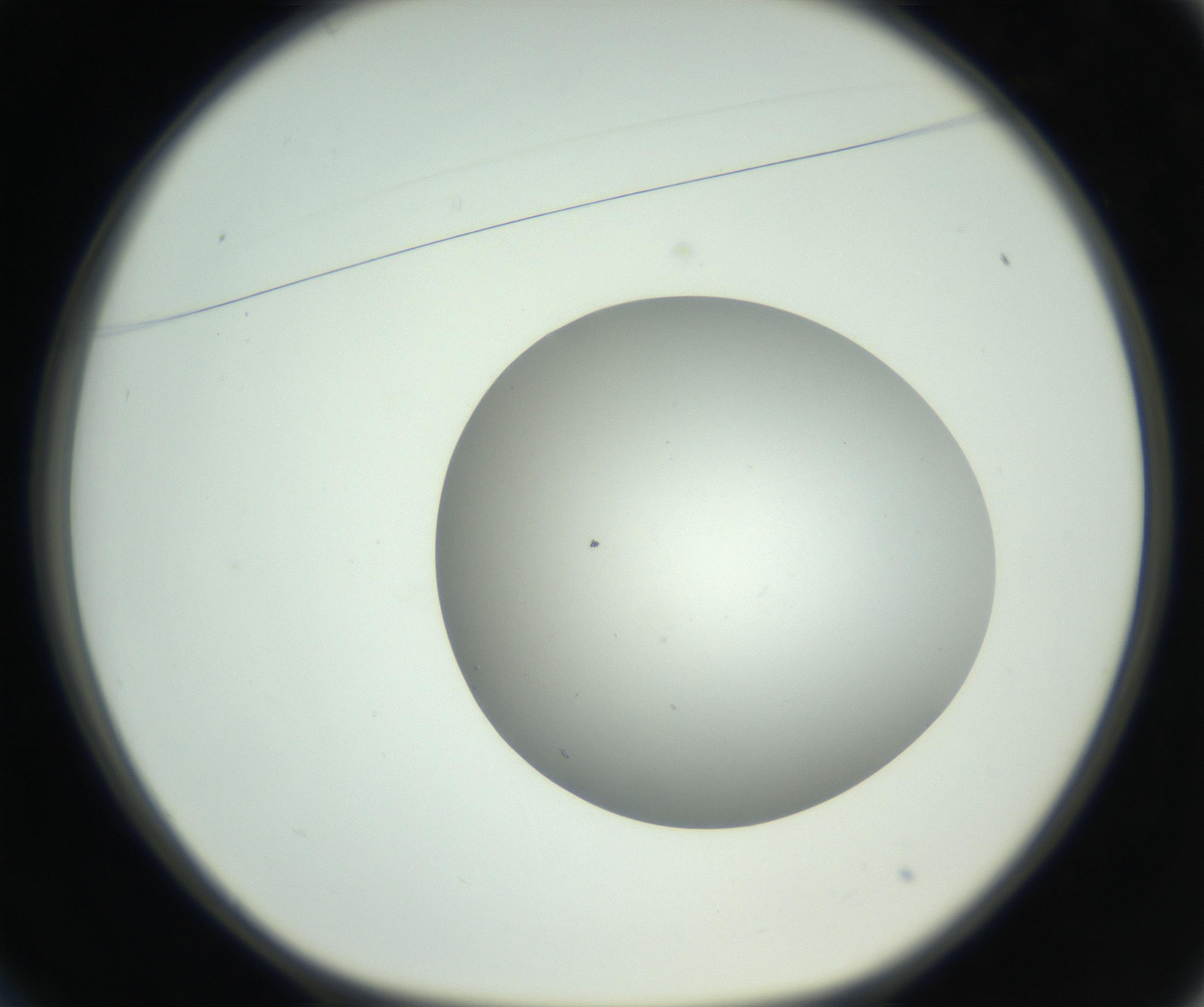 RI01_03_000_0212_Proj1_Clon1_MC_0000MC102736_004_160921_01_02_01_00_99_002_001_RAI.jpg