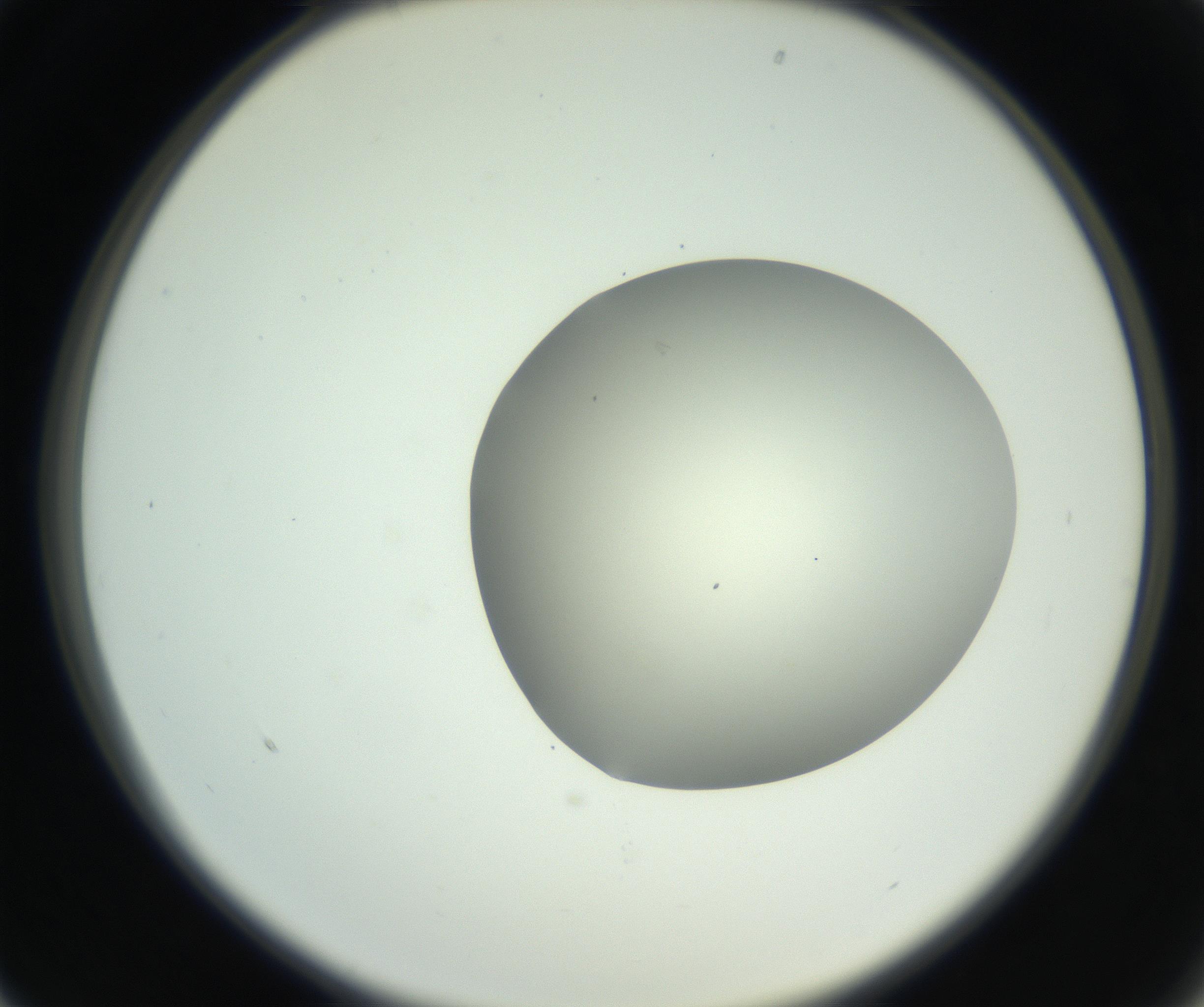 RI01_03_000_0212_Proj1_Clon1_MC_0000MC102736_004_160921_01_02_02_00_99_002_001_RAI.jpg