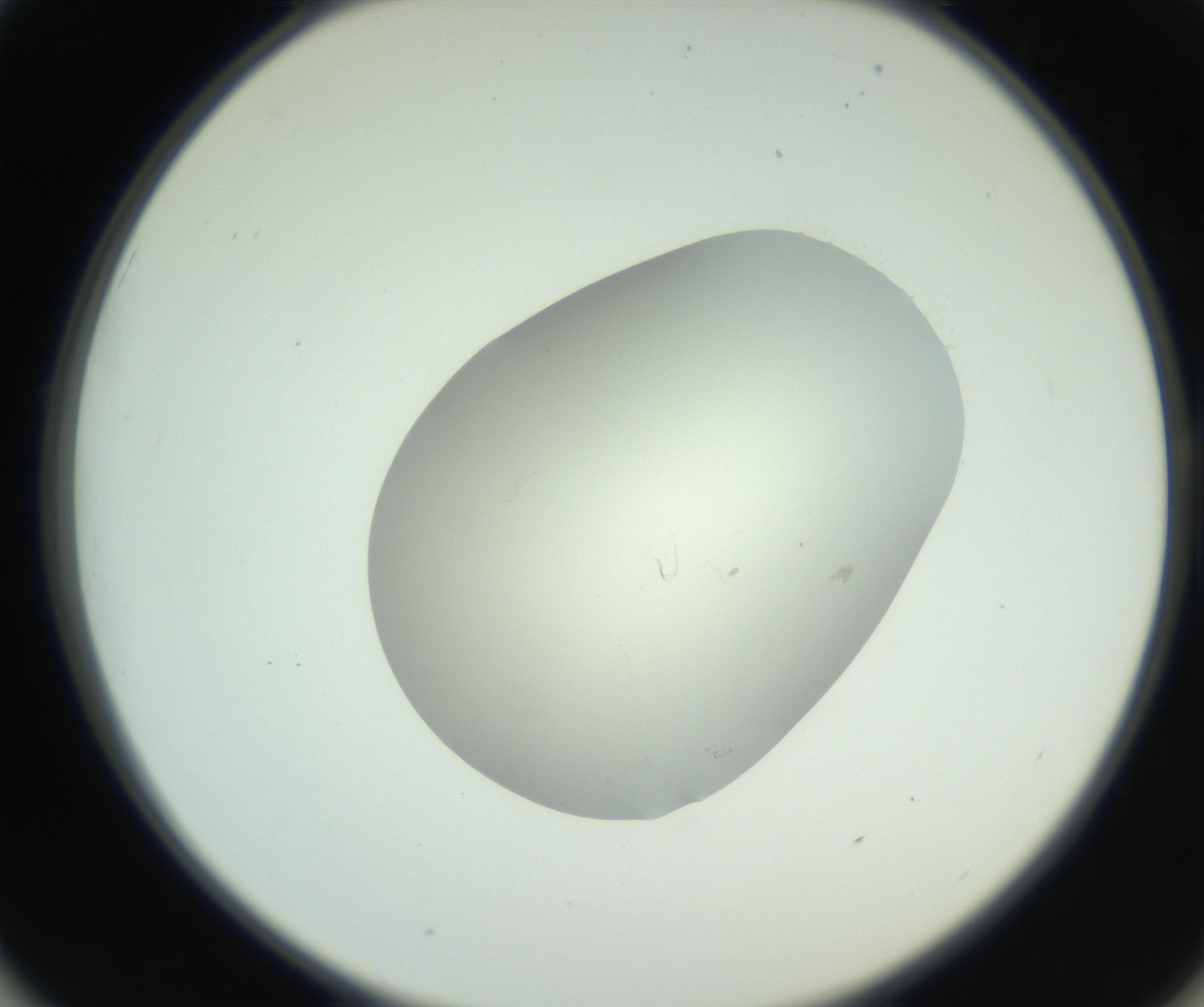 RI01_03_000_0212_Proj1_Clon1_MC_0000MC102736_004_160921_01_05_02_00_99_002_001_RAI.jpg