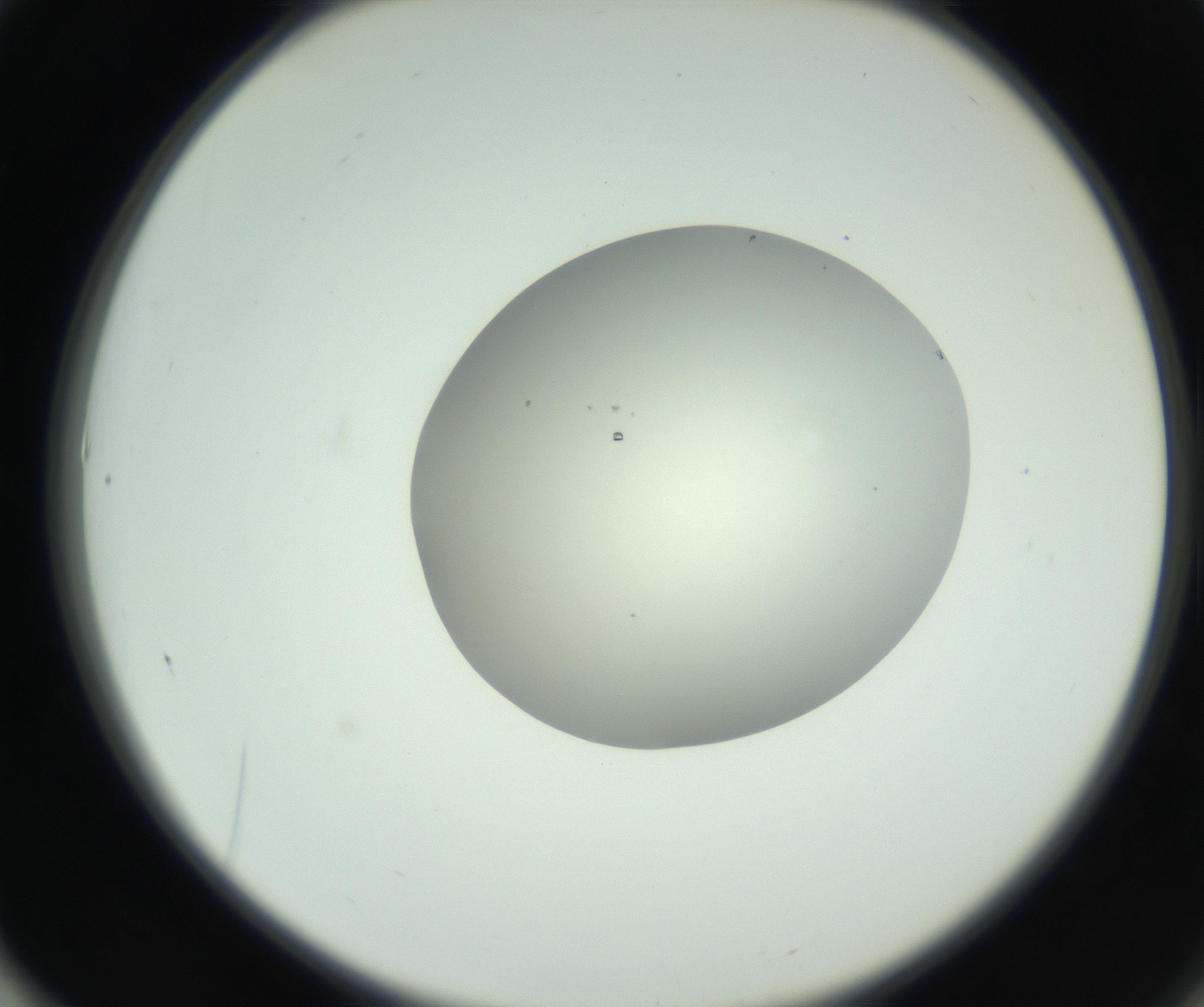RI01_03_000_0212_Proj1_Clon1_MC_0000MC102736_004_160921_01_06_02_00_99_002_001_RAI.jpg