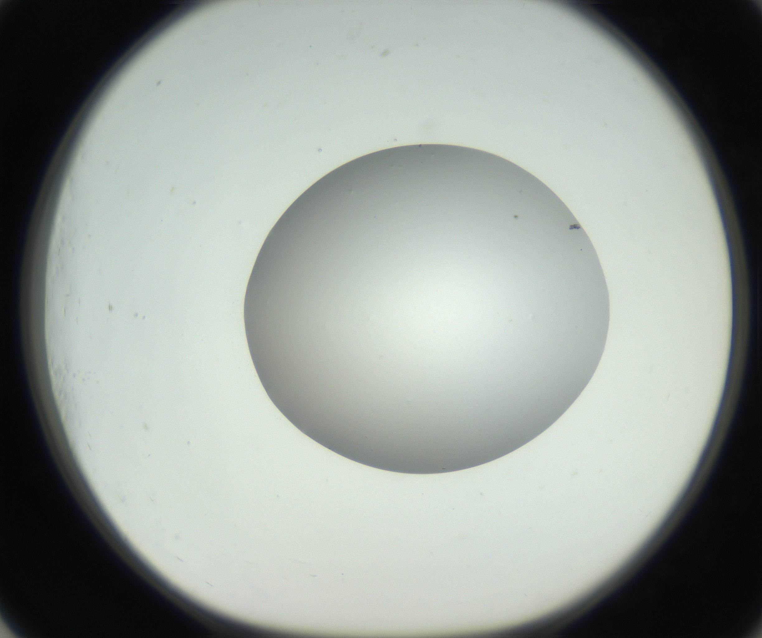RI01_03_000_0212_Proj1_Clon1_MC_0000MC102736_004_160921_01_07_01_00_99_002_001_RAI.jpg