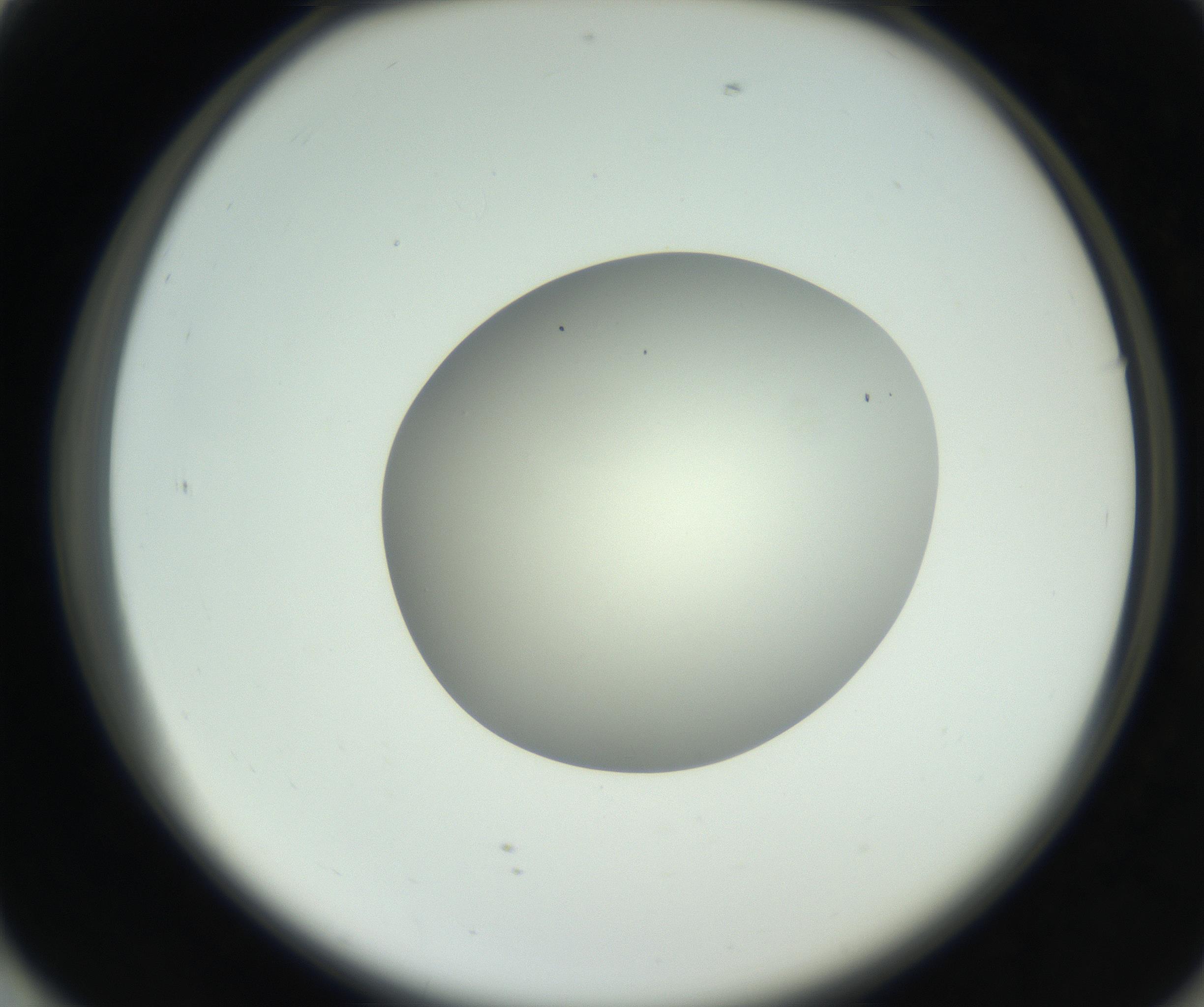 RI01_03_000_0212_Proj1_Clon1_MC_0000MC102736_004_160921_01_07_02_00_99_002_001_RAI.jpg