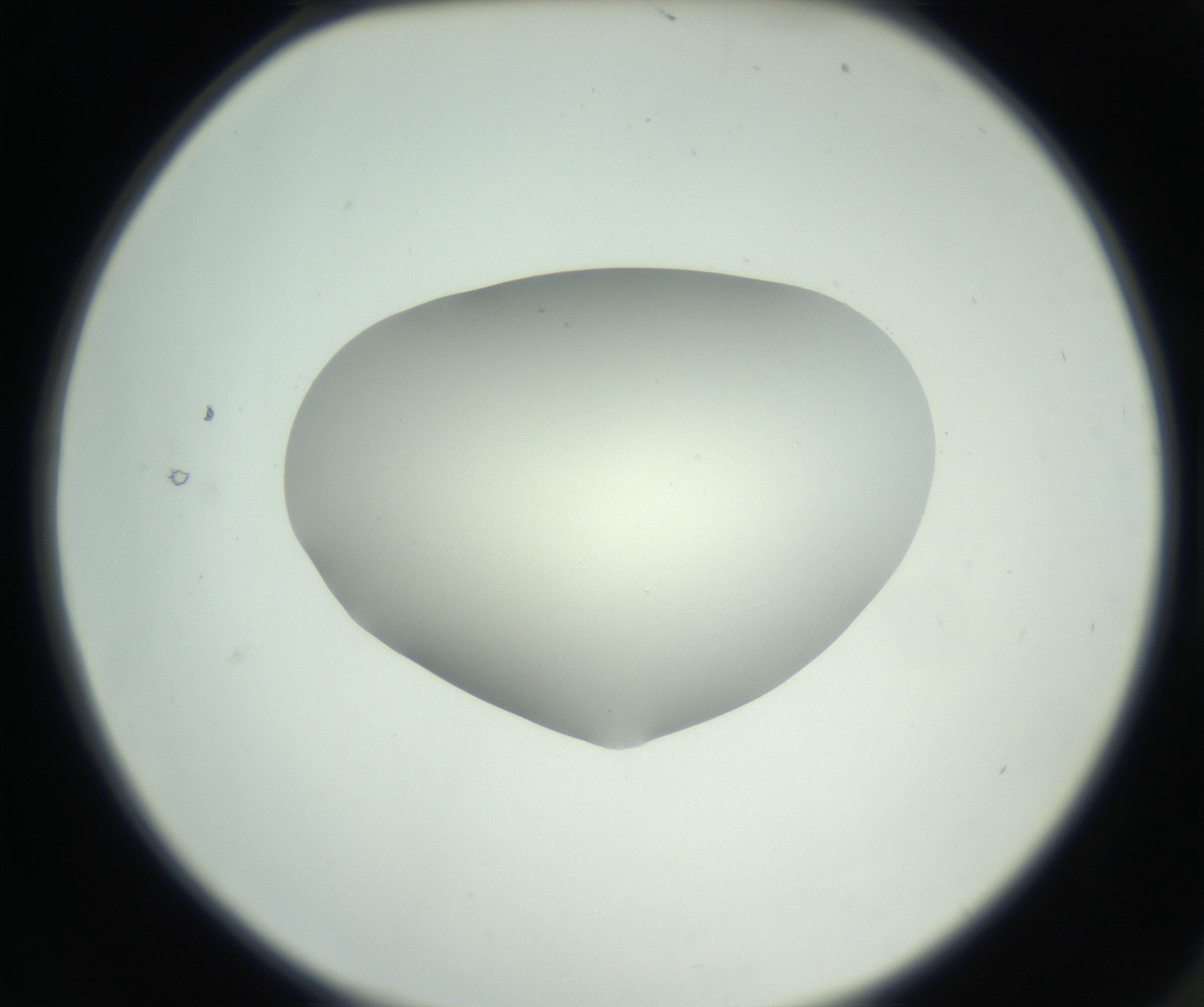 RI01_03_000_0212_Proj1_Clon1_MC_0000MC102736_004_160921_02_01_02_00_99_002_001_RAI.jpg