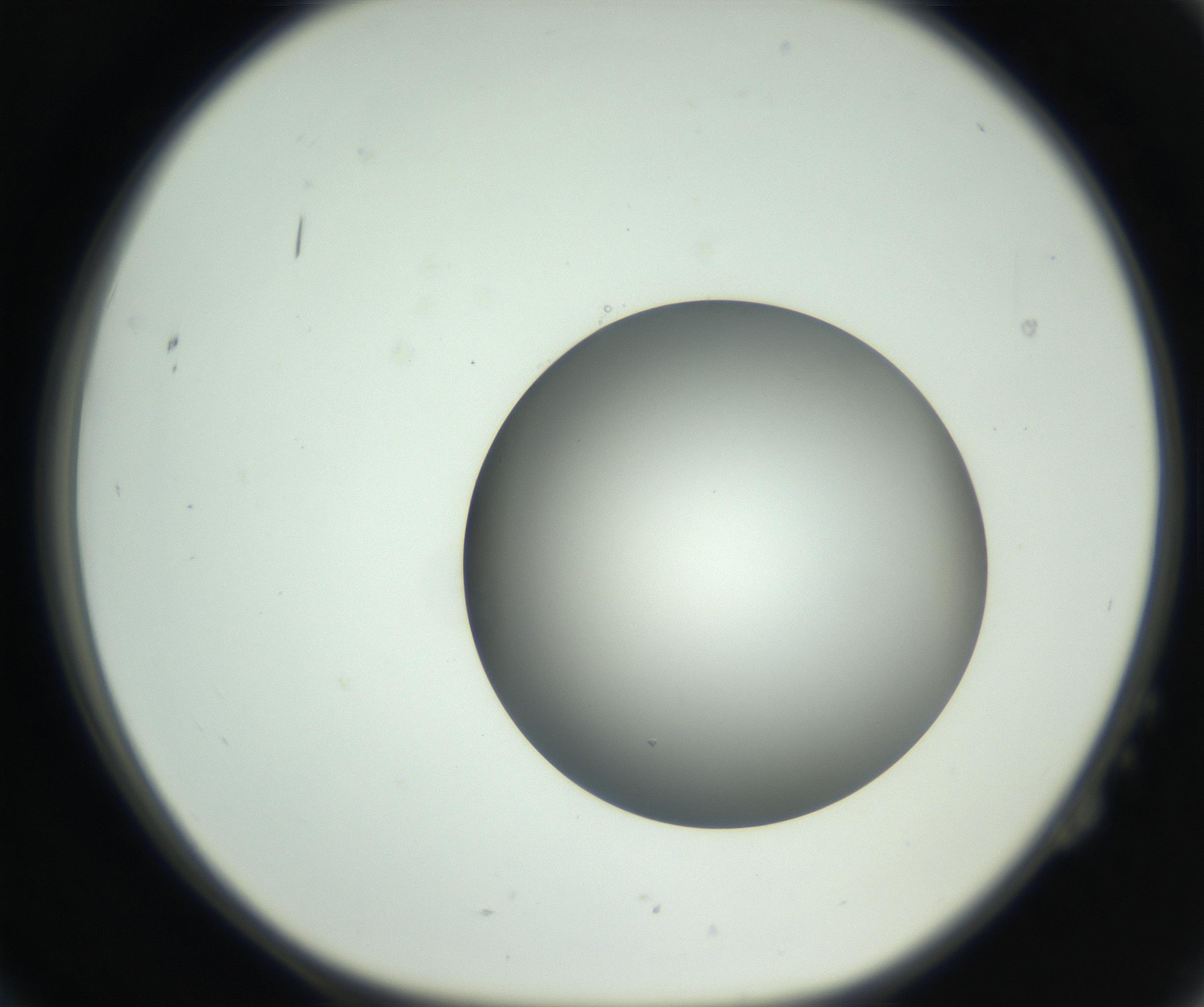 RI01_03_000_0212_Proj1_Clon1_MC_0000MC102736_004_160921_02_02_01_00_99_002_001_RAI.jpg