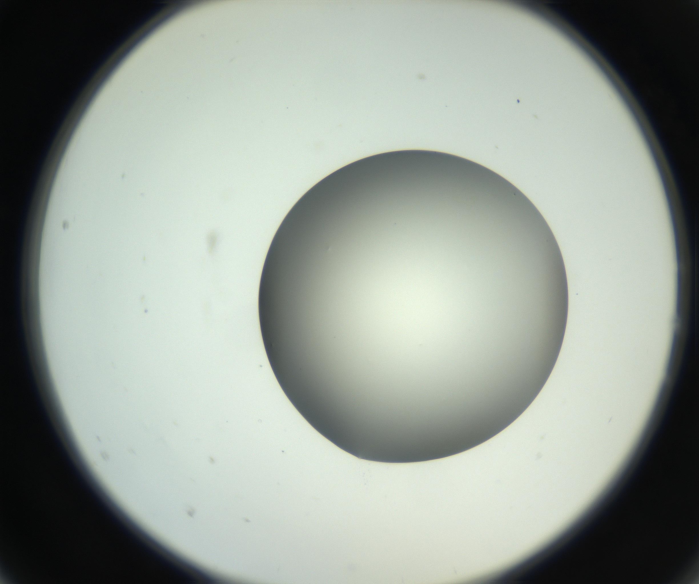 RI01_03_000_0212_Proj1_Clon1_MC_0000MC102736_004_160921_02_02_02_00_99_002_001_RAI.jpg