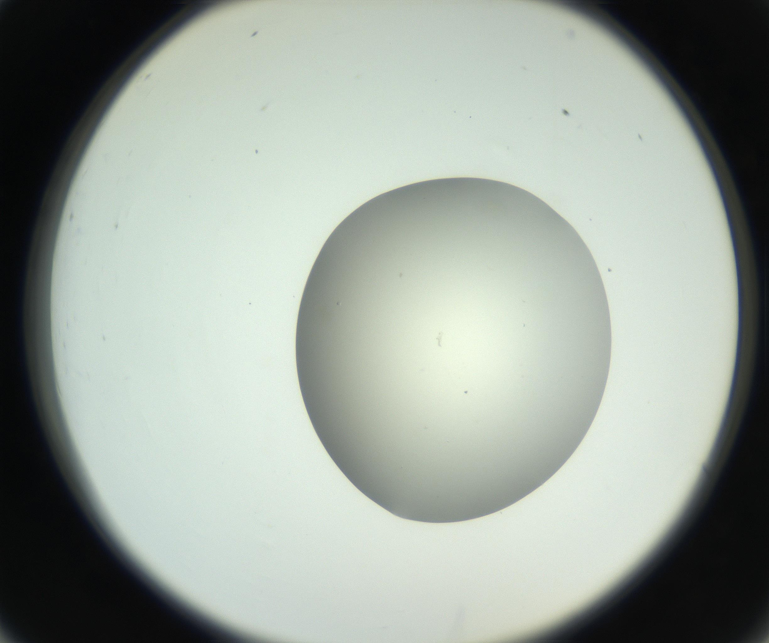 RI01_03_000_0212_Proj1_Clon1_MC_0000MC102736_004_160921_02_03_02_00_99_002_001_RAI.jpg