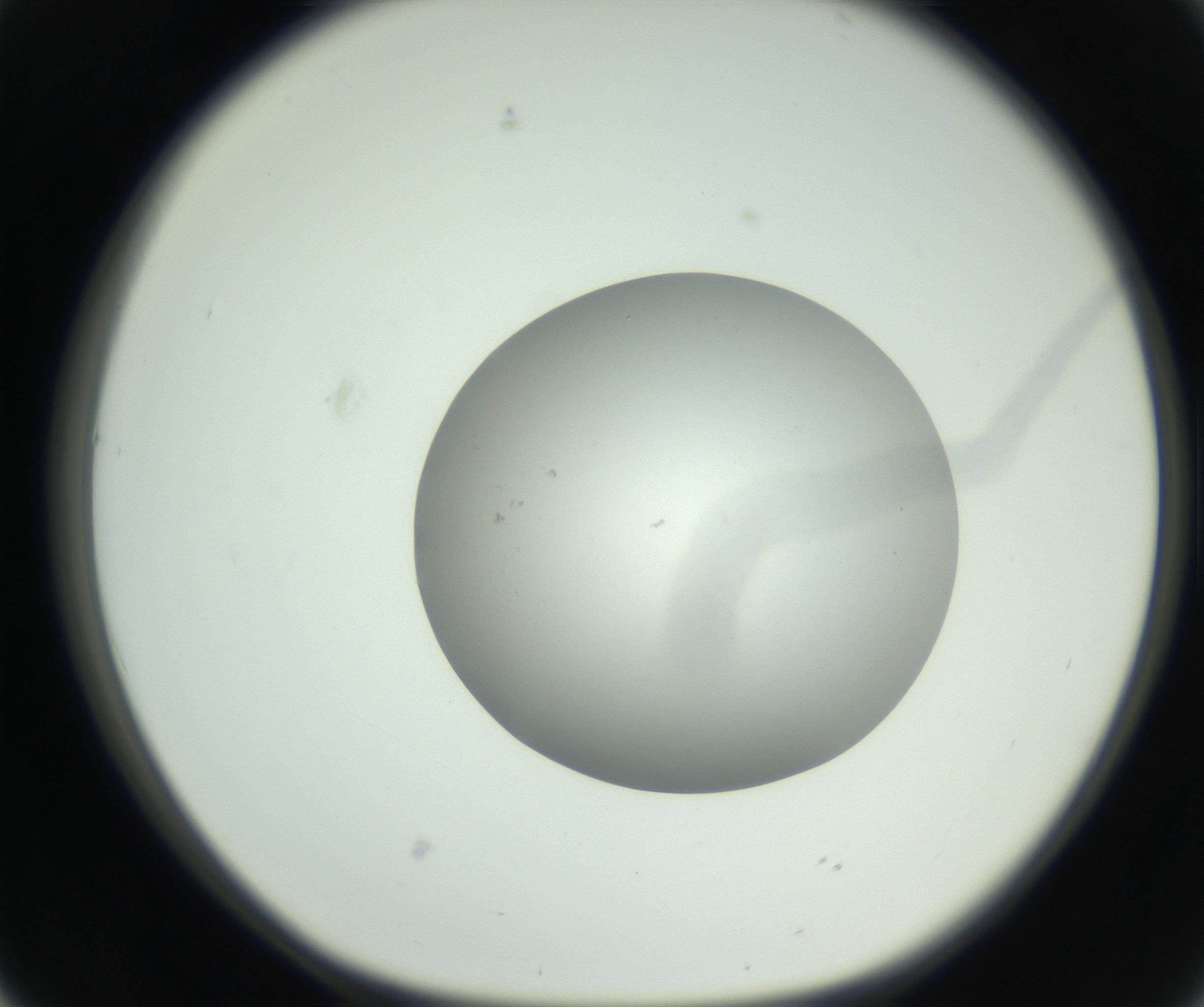 RI01_03_000_0212_Proj1_Clon1_MC_0000MC102736_004_160921_02_04_01_00_99_002_001_RAI.jpg