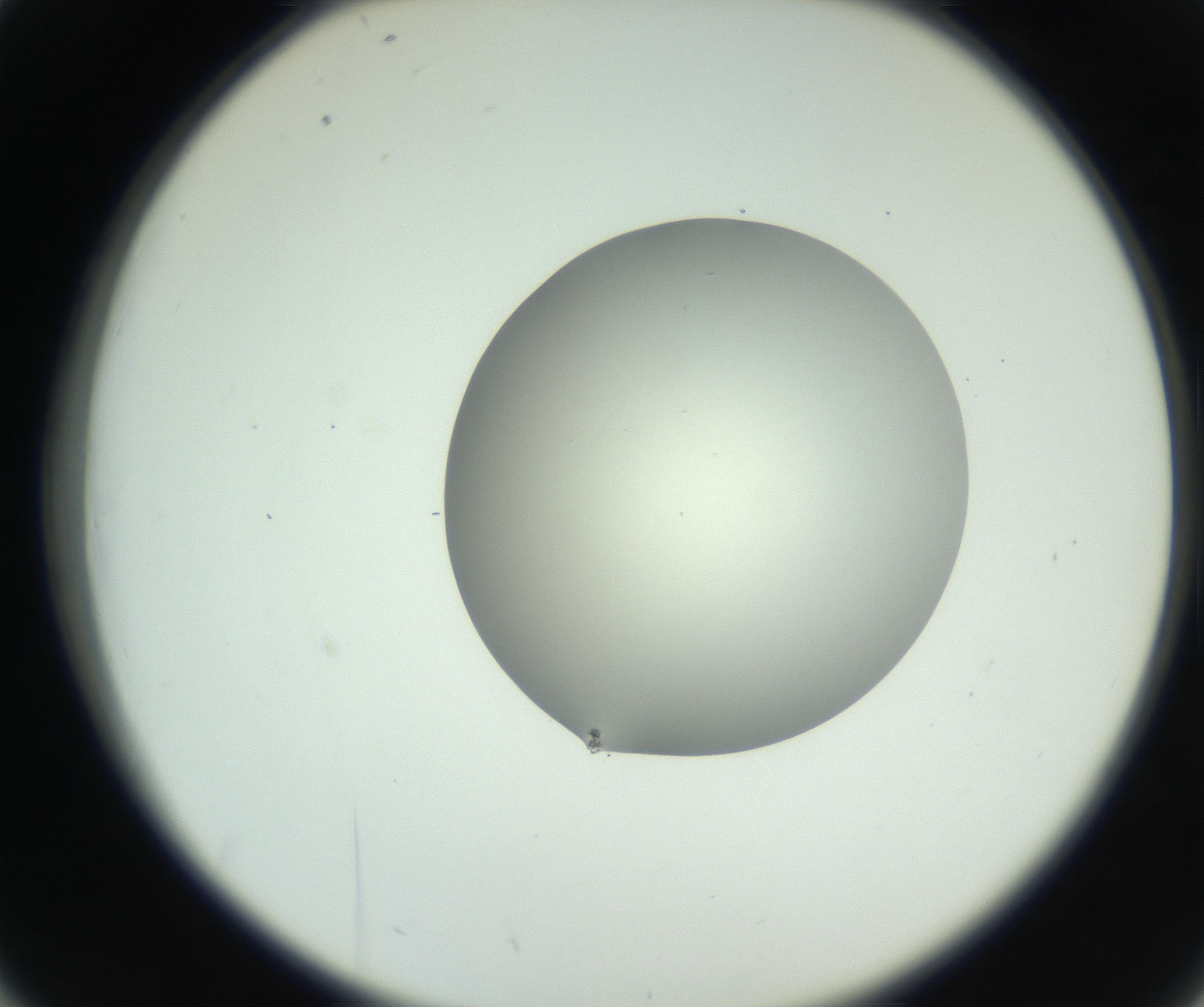RI01_03_000_0212_Proj1_Clon1_MC_0000MC102736_004_160921_02_04_02_00_99_002_001_RAI.jpg