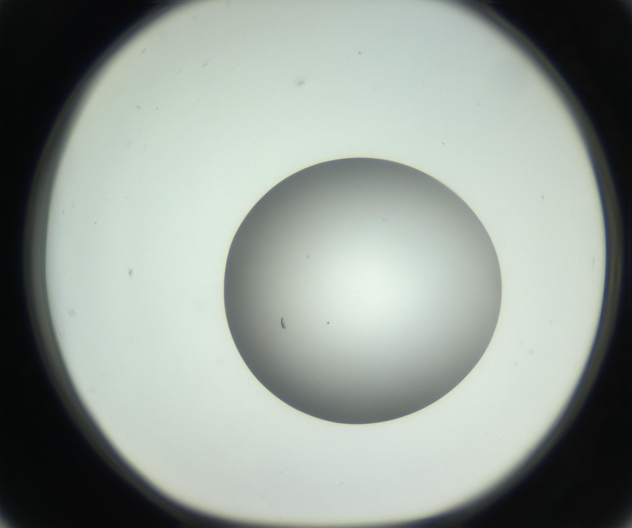 RI01_03_000_0212_Proj1_Clon1_MC_0000MC102736_004_160921_02_05_01_00_99_002_001_RAI.jpg