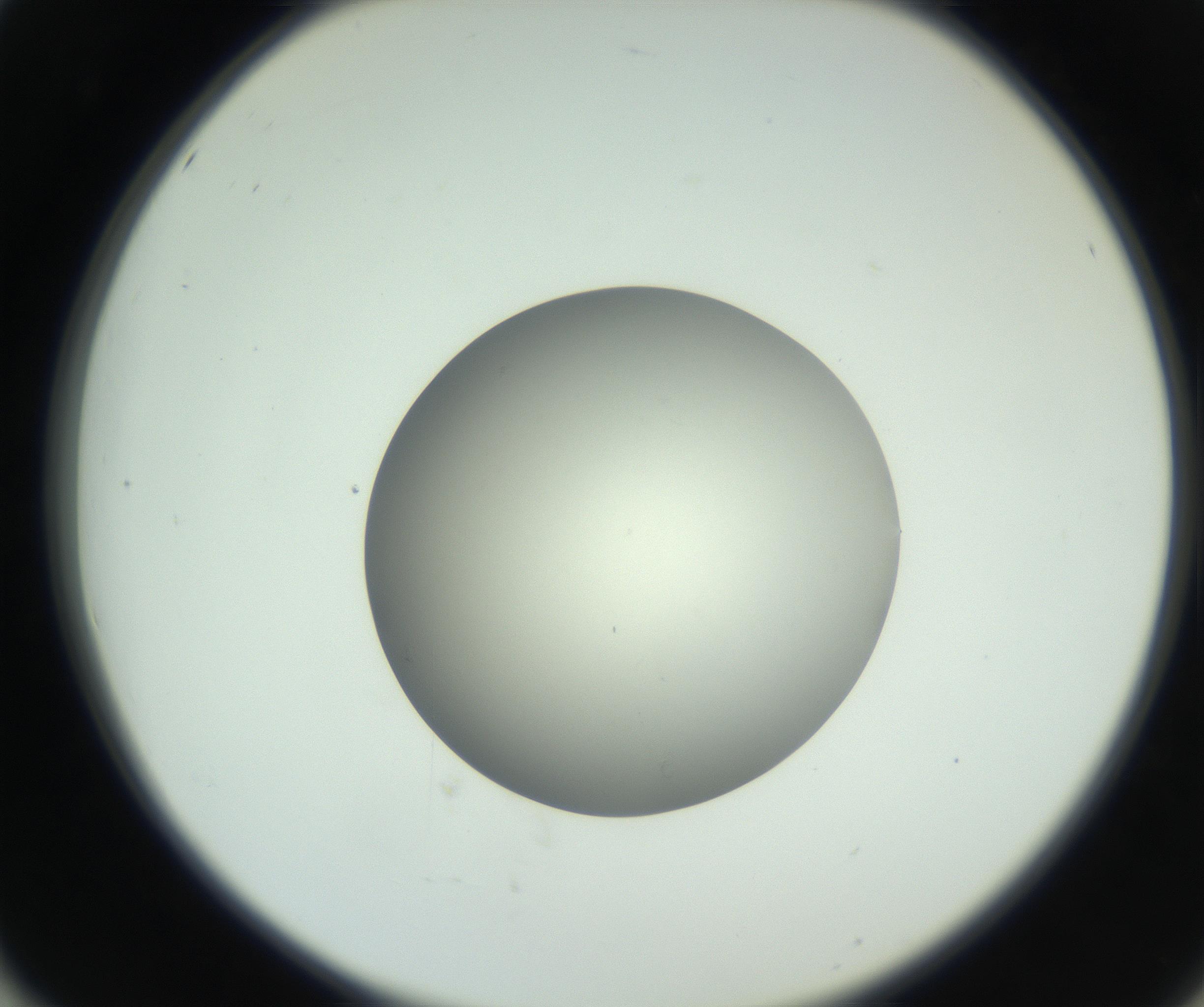 RI01_03_000_0212_Proj1_Clon1_MC_0000MC102736_004_160921_02_05_02_00_99_002_001_RAI.jpg