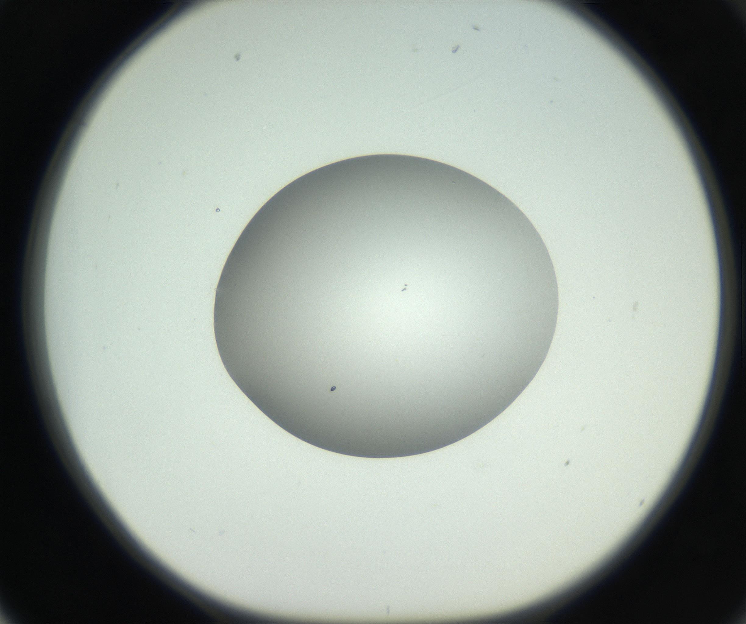 RI01_03_000_0212_Proj1_Clon1_MC_0000MC102736_004_160921_02_06_01_00_99_002_001_RAI.jpg