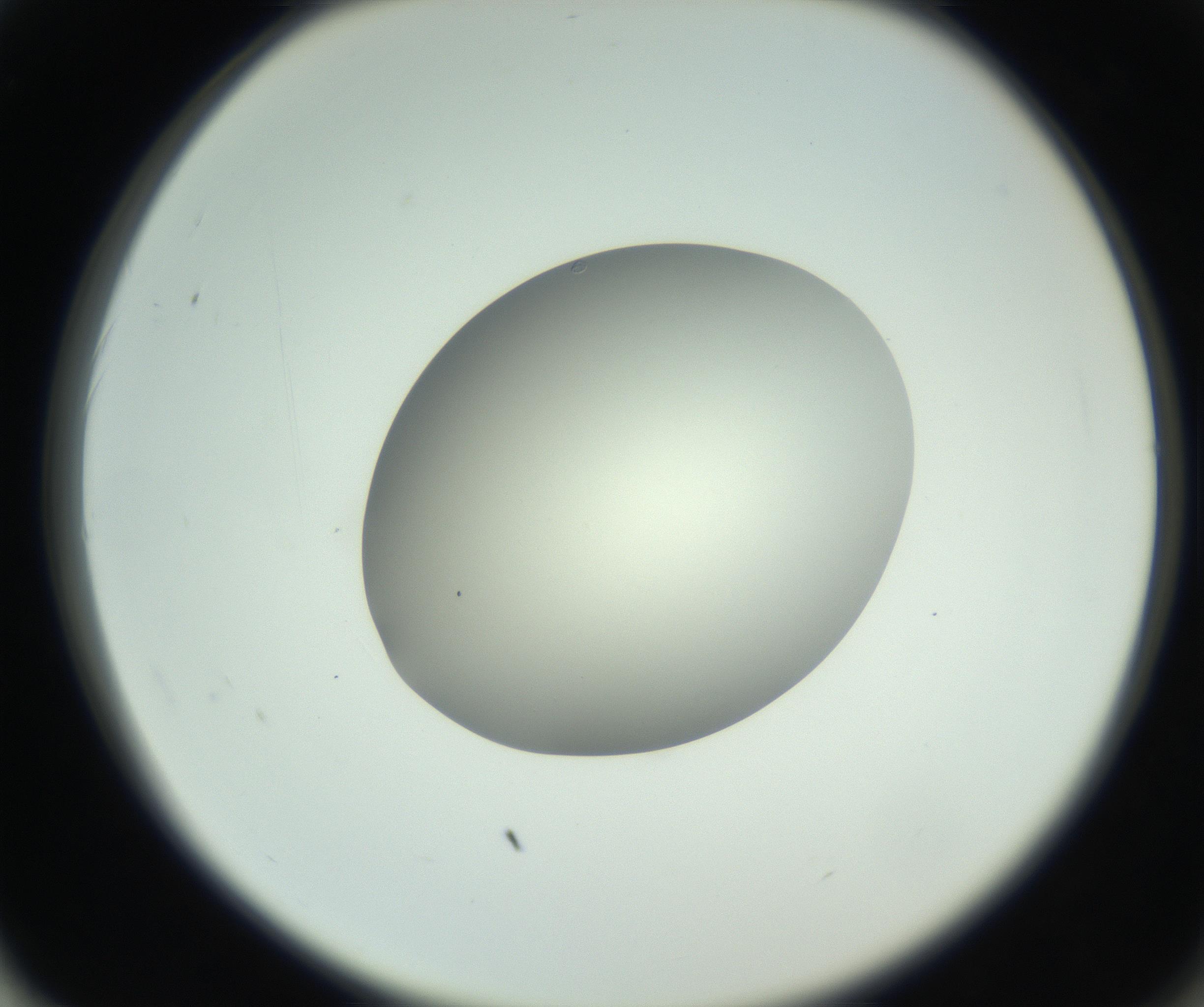 RI01_03_000_0212_Proj1_Clon1_MC_0000MC102736_004_160921_02_06_02_00_99_002_001_RAI.jpg