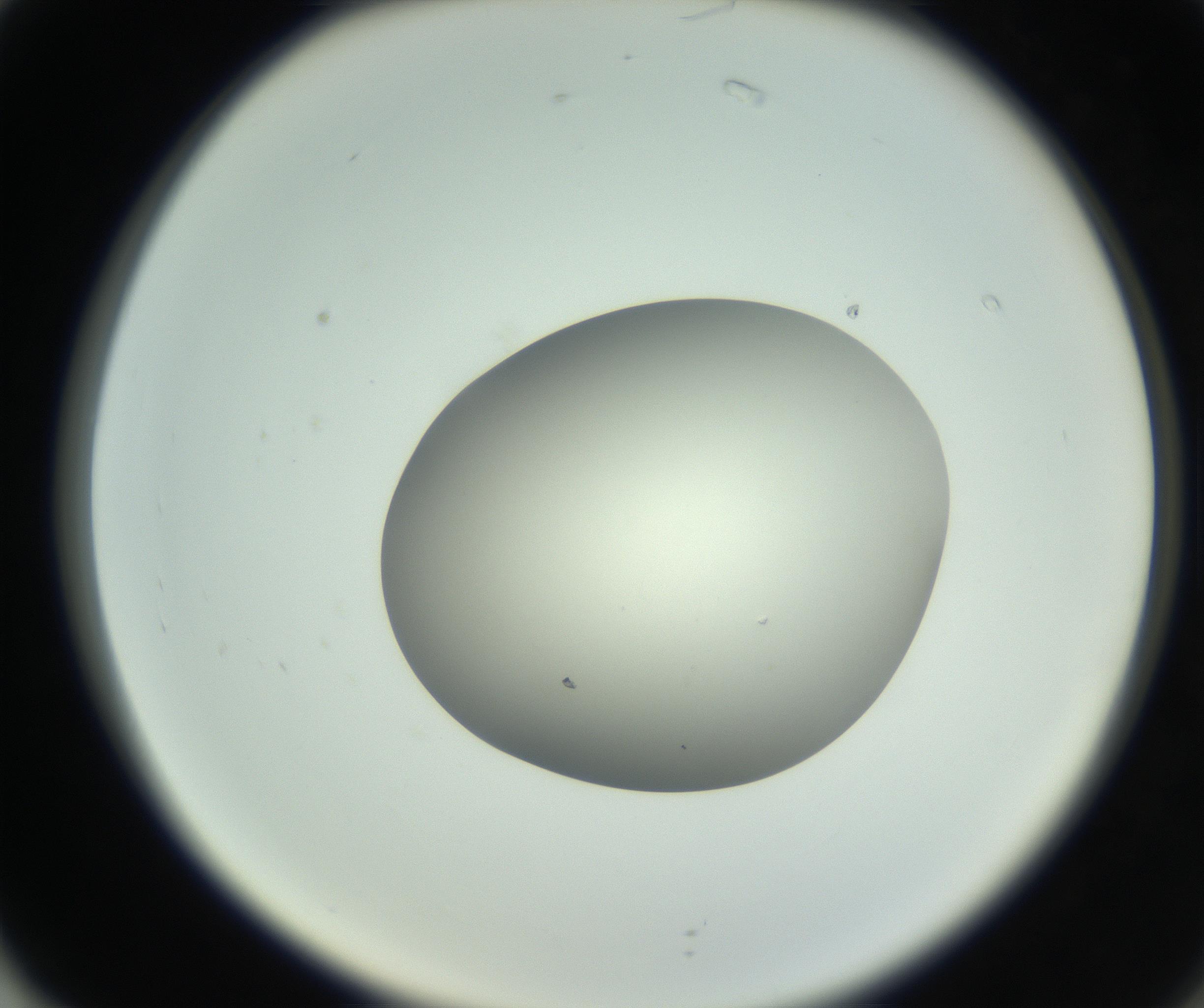RI01_03_000_0212_Proj1_Clon1_MC_0000MC102736_004_160921_02_07_02_00_99_002_001_RAI.jpg