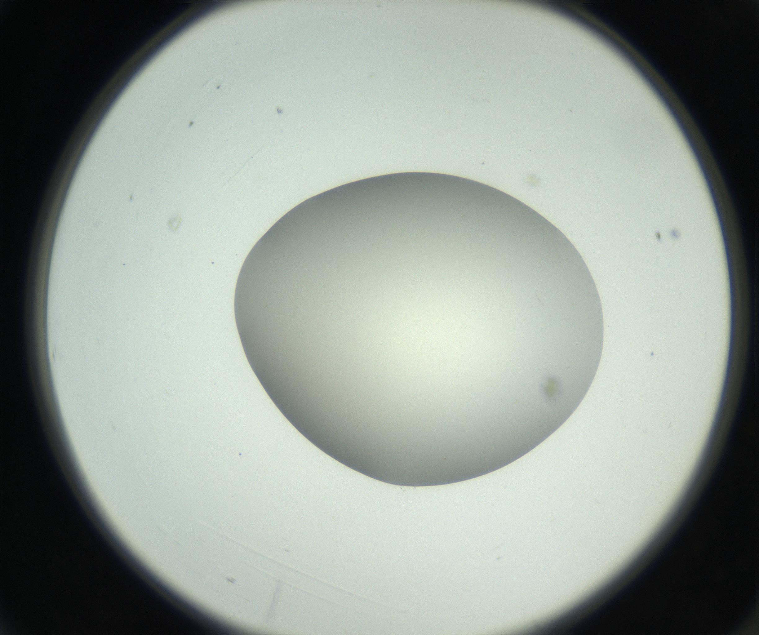 RI01_03_000_0212_Proj1_Clon1_MC_0000MC102736_004_160921_03_01_02_00_99_002_001_RAI.jpg