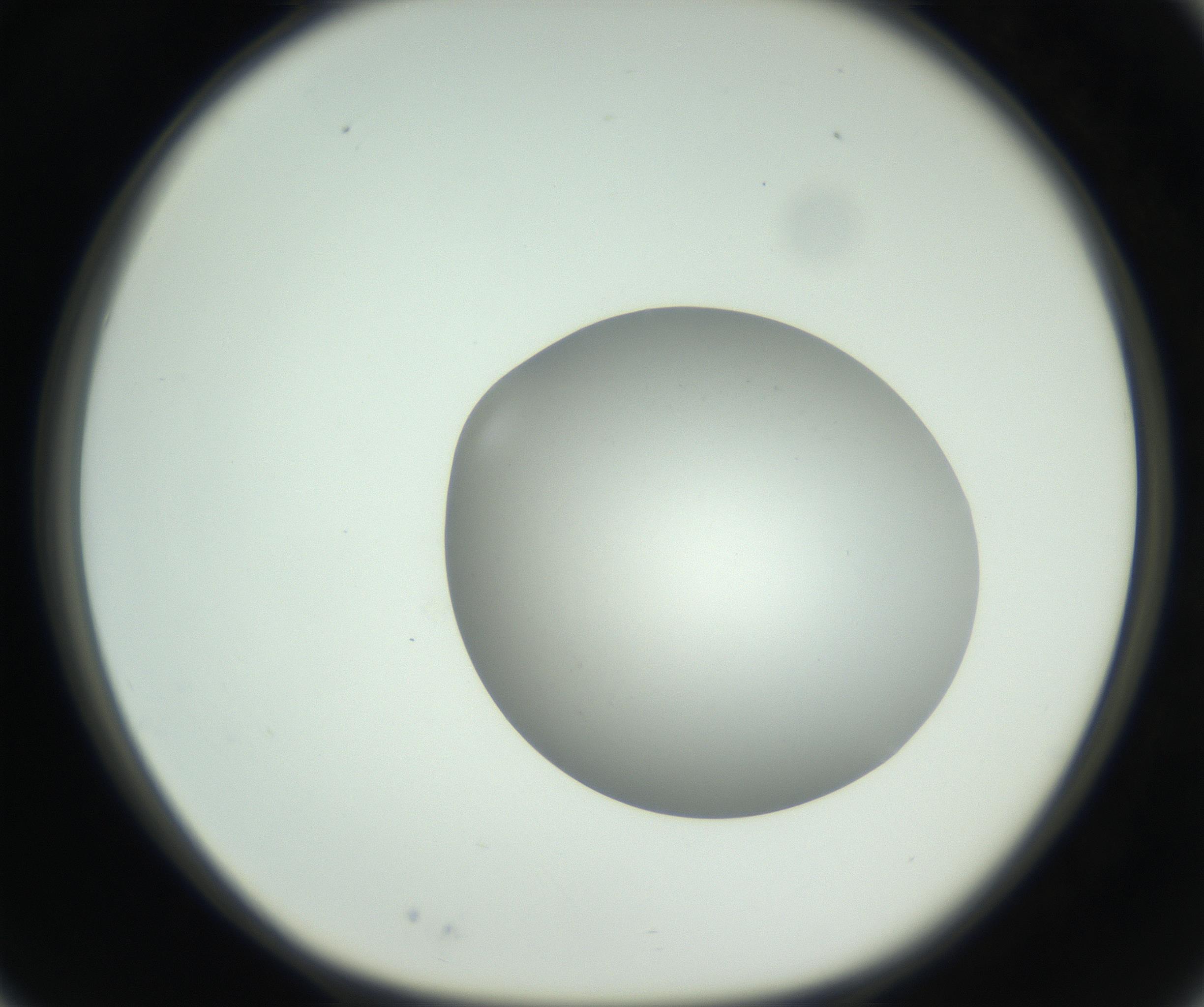 RI01_03_000_0212_Proj1_Clon1_MC_0000MC102736_004_160921_03_02_01_00_99_002_001_RAI.jpg