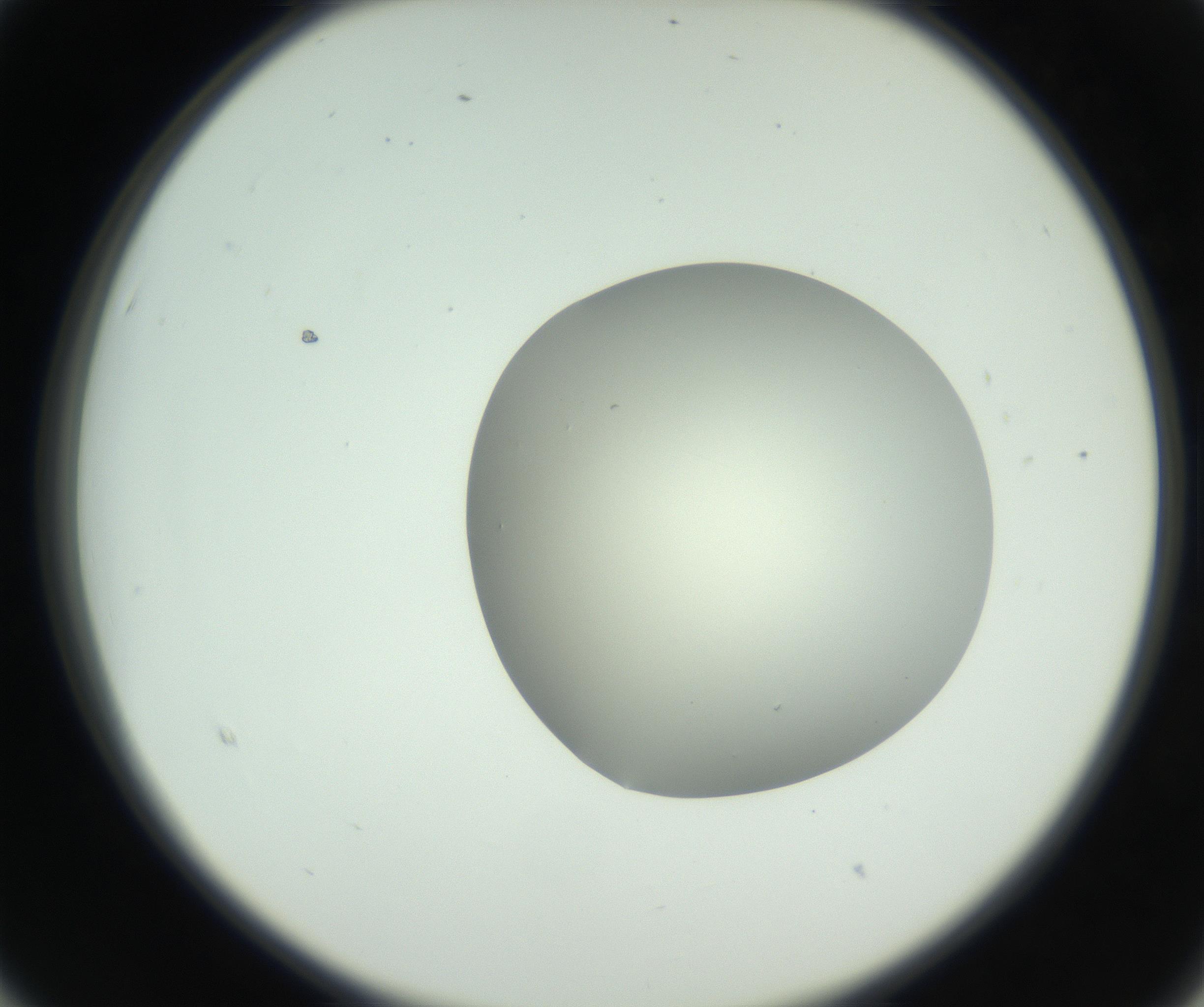 RI01_03_000_0212_Proj1_Clon1_MC_0000MC102736_004_160921_03_02_02_00_99_002_001_RAI.jpg
