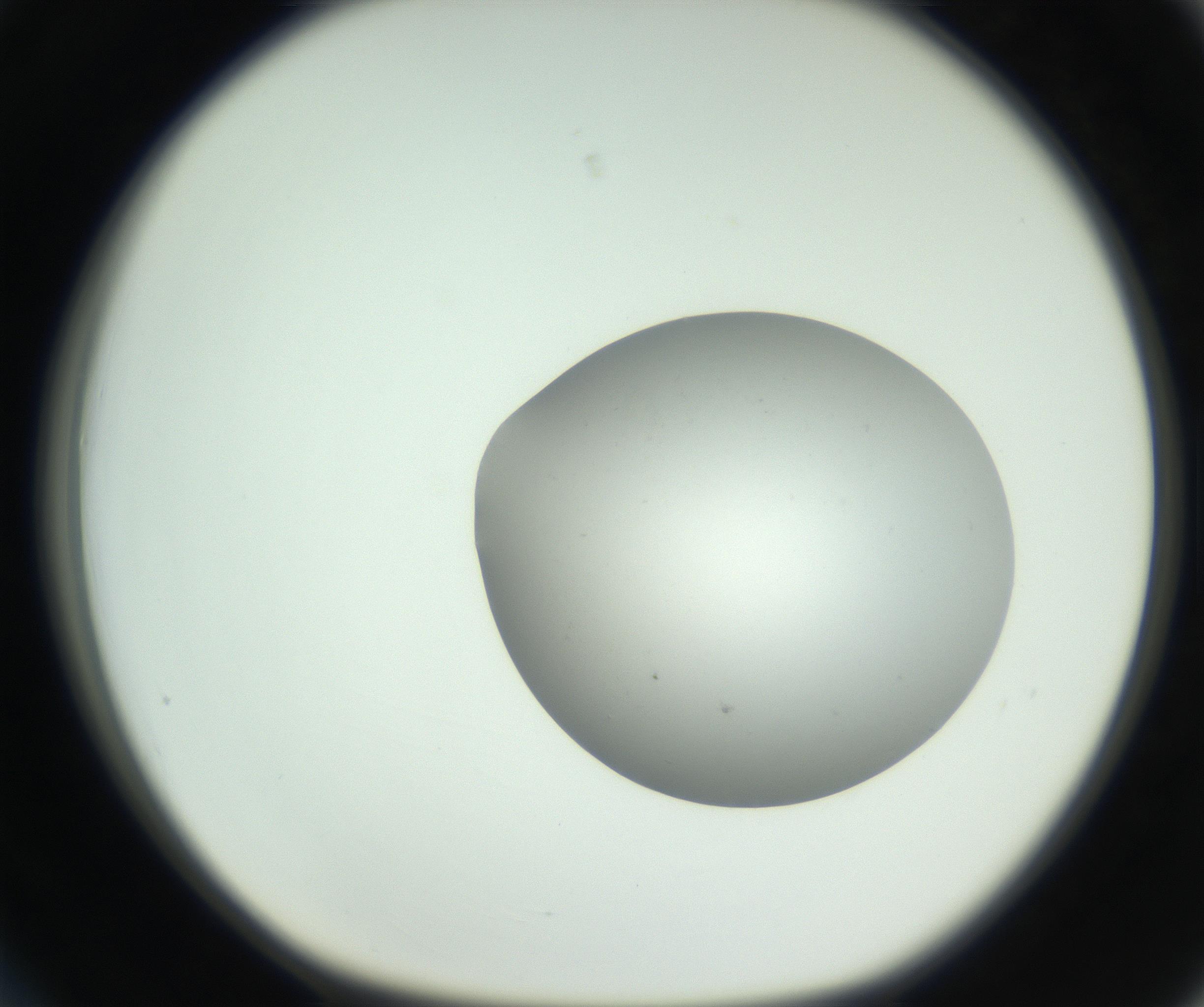 RI01_03_000_0212_Proj1_Clon1_MC_0000MC102736_004_160921_03_03_01_00_99_002_001_RAI.jpg