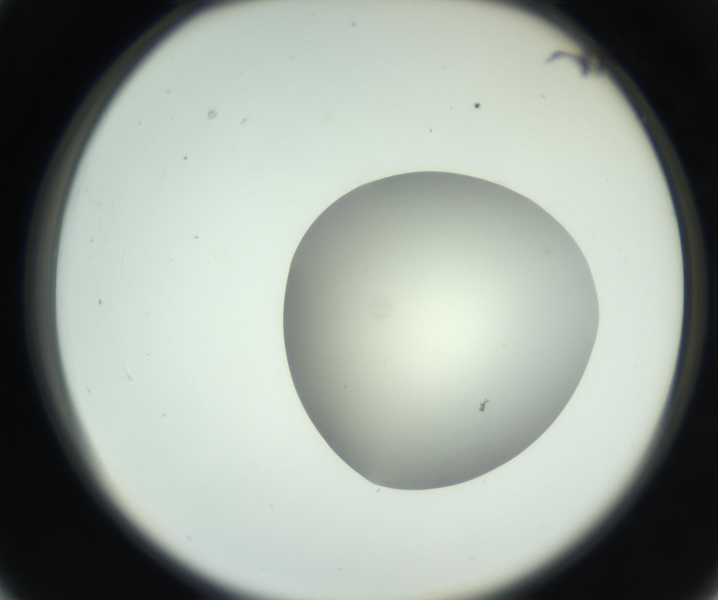 RI01_03_000_0212_Proj1_Clon1_MC_0000MC102736_004_160921_03_03_02_00_99_002_001_RAI.jpg