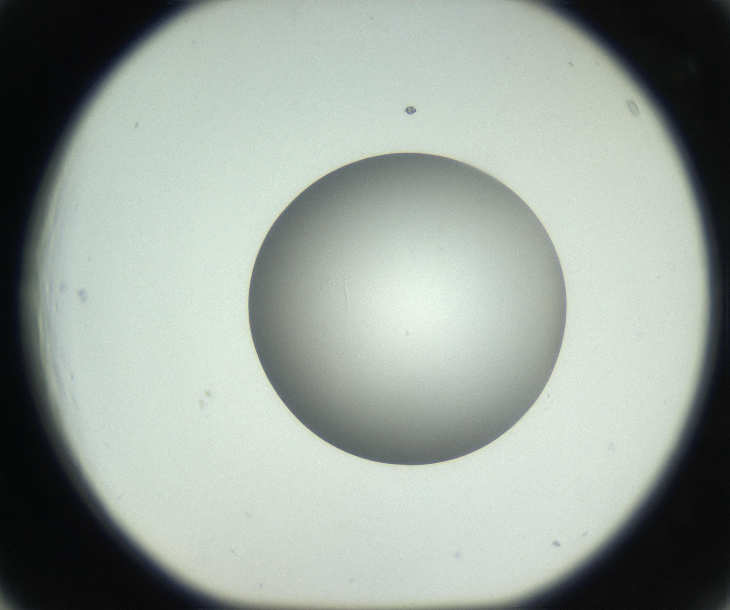 RI01_03_000_0212_Proj1_Clon1_MC_0000MC102736_004_160921_03_04_01_00_99_002_001_RAI.jpg