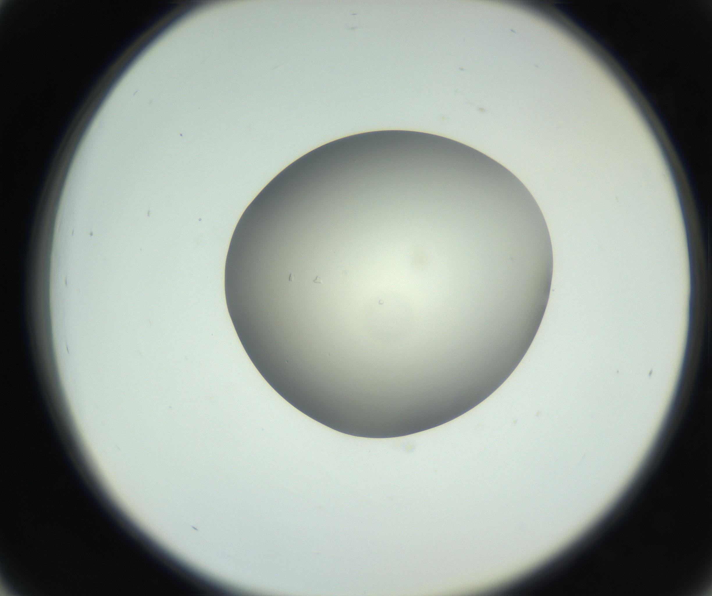 RI01_03_000_0212_Proj1_Clon1_MC_0000MC102736_004_160921_03_04_02_00_99_002_001_RAI.jpg