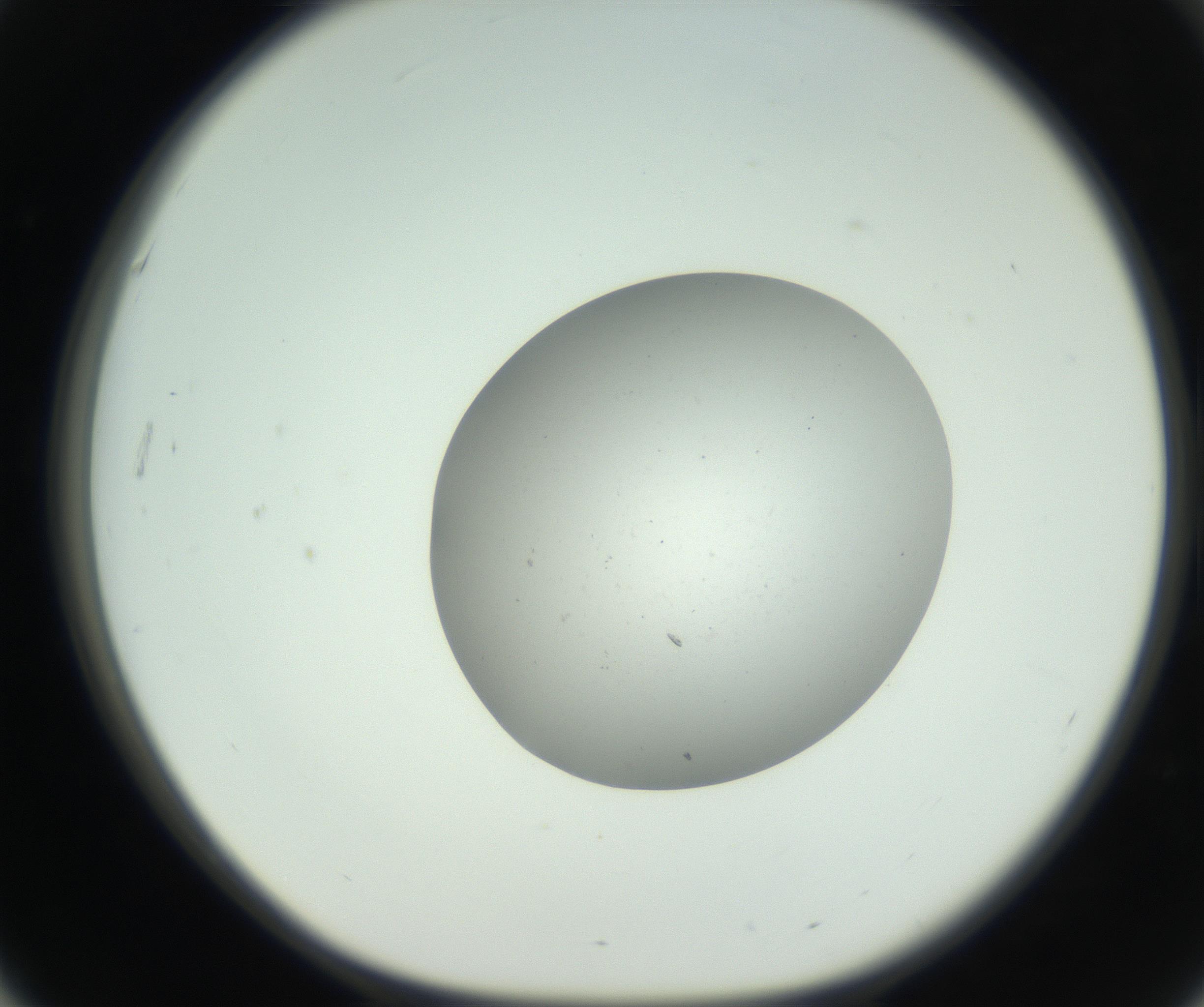 RI01_03_000_0212_Proj1_Clon1_MC_0000MC102736_004_160921_03_05_01_00_99_002_001_RAI.jpg