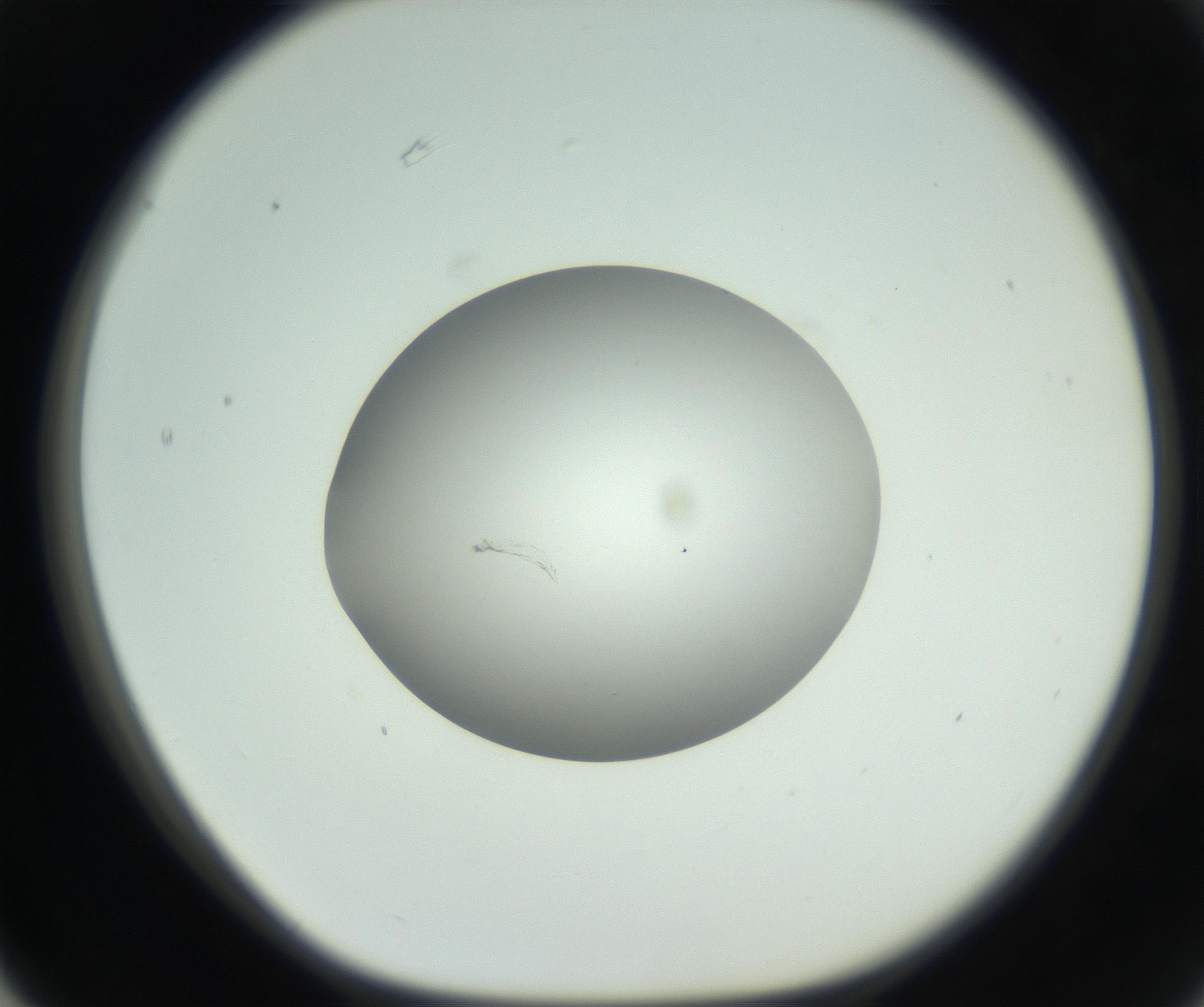 RI01_03_000_0212_Proj1_Clon1_MC_0000MC102736_004_160921_03_06_01_00_99_002_001_RAI.jpg
