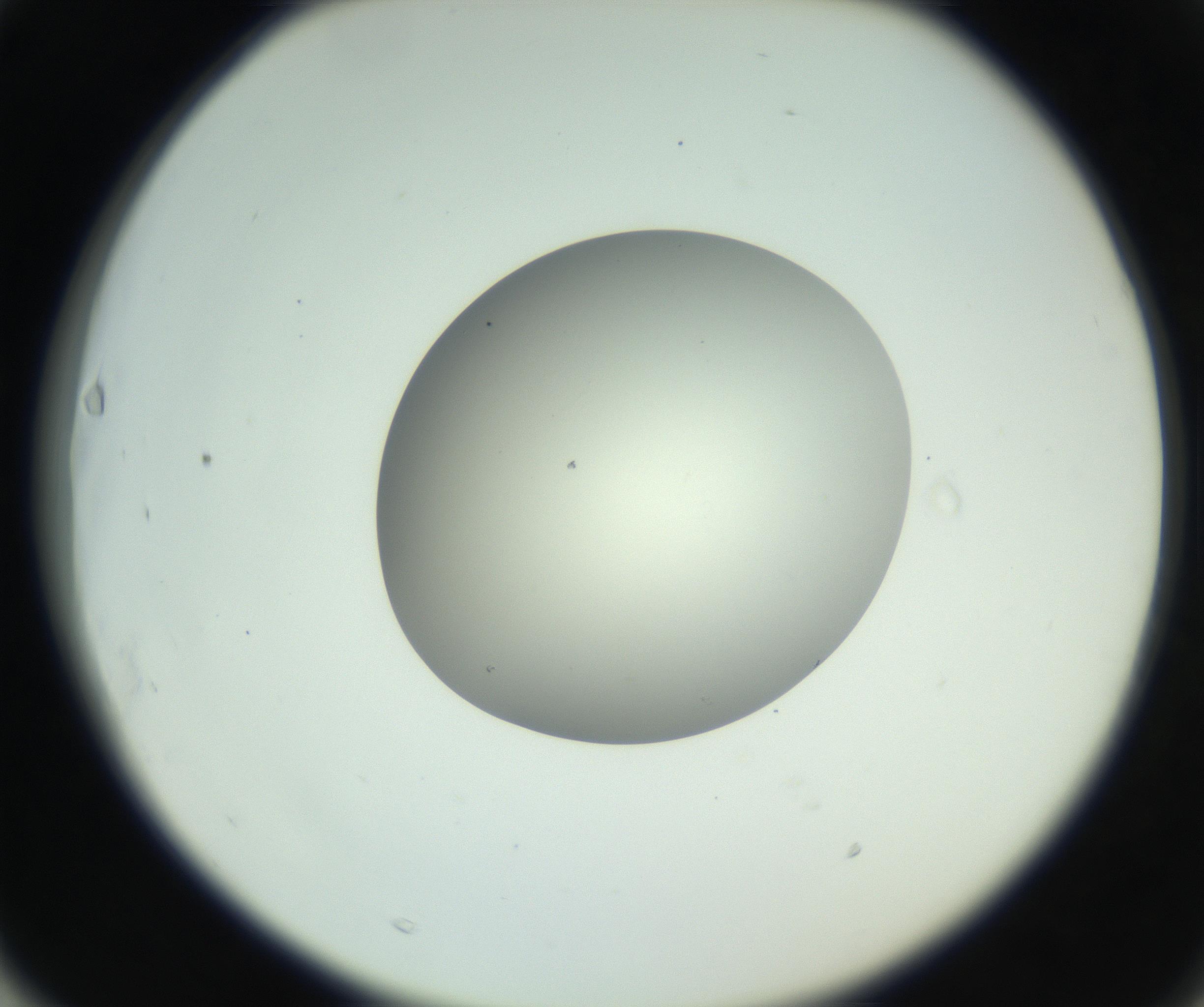 RI01_03_000_0212_Proj1_Clon1_MC_0000MC102736_004_160921_03_06_02_00_99_002_001_RAI.jpg