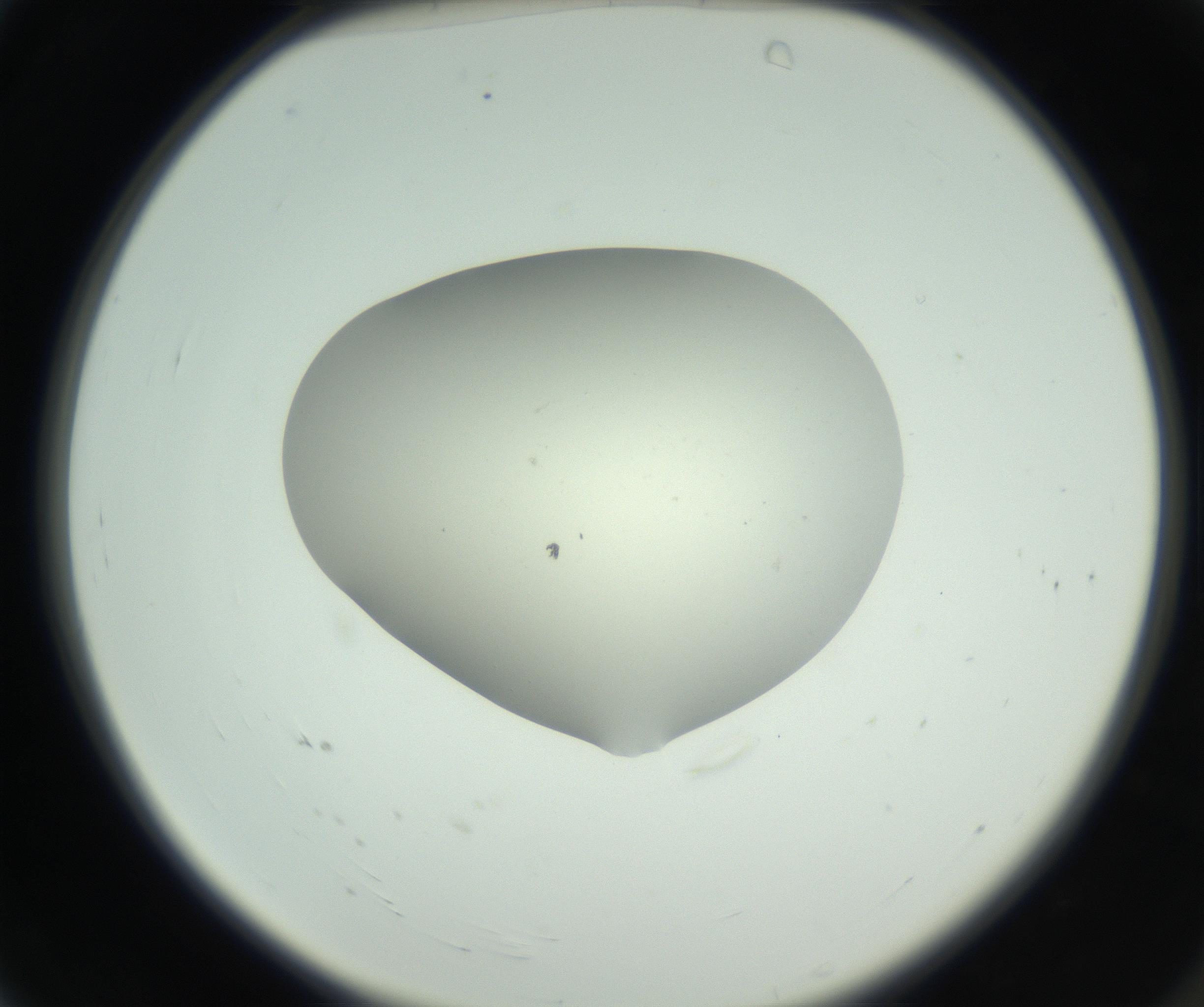 RI01_03_000_0212_Proj1_Clon1_MC_0000MC102736_004_160921_04_01_02_00_99_002_001_RAI.jpg