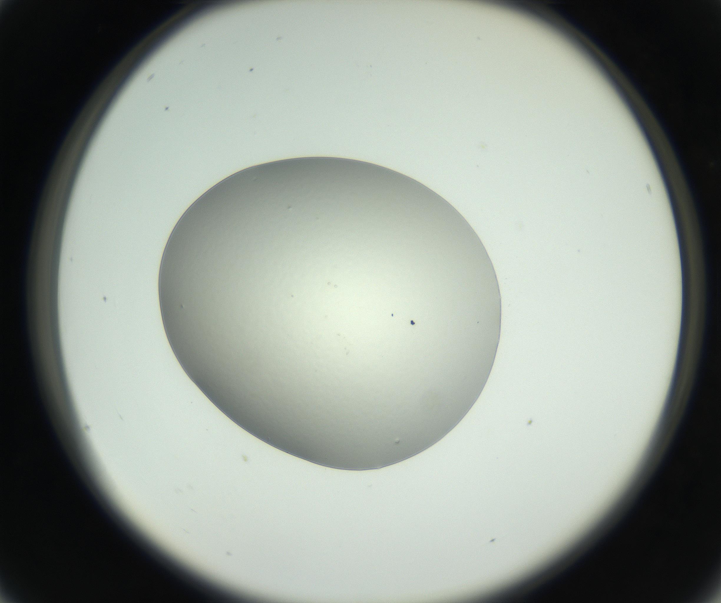 RI01_03_000_0212_Proj1_Clon1_MC_0000MC102736_004_160921_04_02_02_00_99_002_001_RAI.jpg
