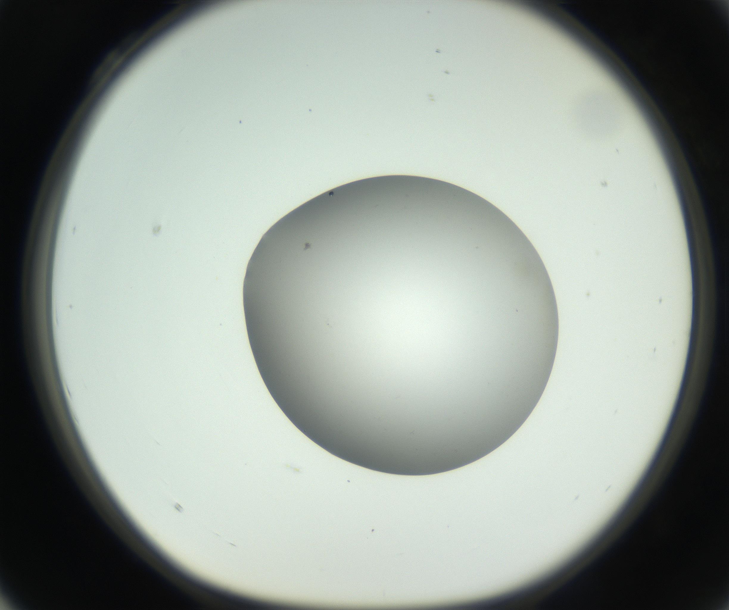RI01_03_000_0212_Proj1_Clon1_MC_0000MC102736_004_160921_04_03_01_00_99_002_001_RAI.jpg